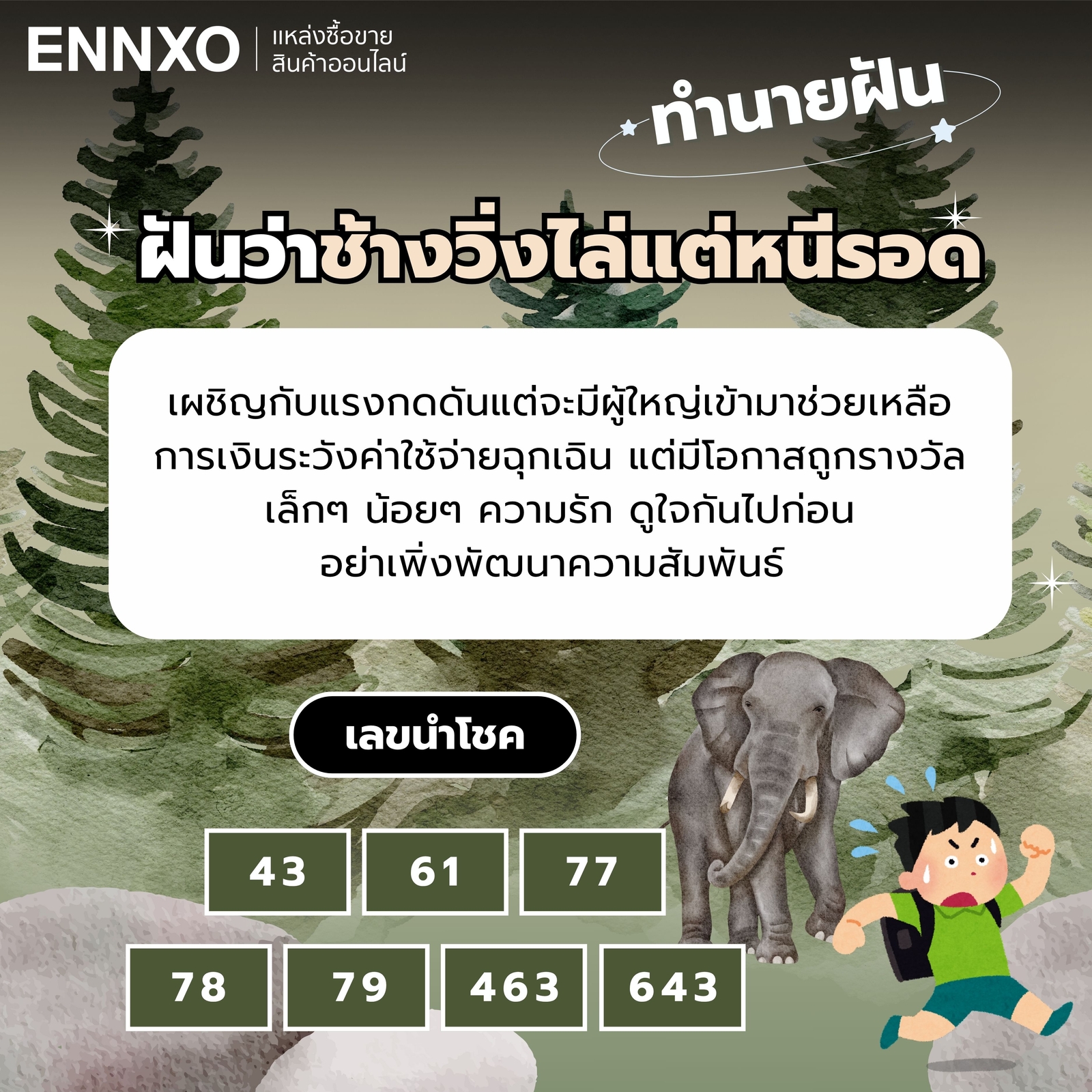 ทำนายฝัน ฝันว่าช้างวิ่งไล่แต่หนีรอด เลขเด็ด