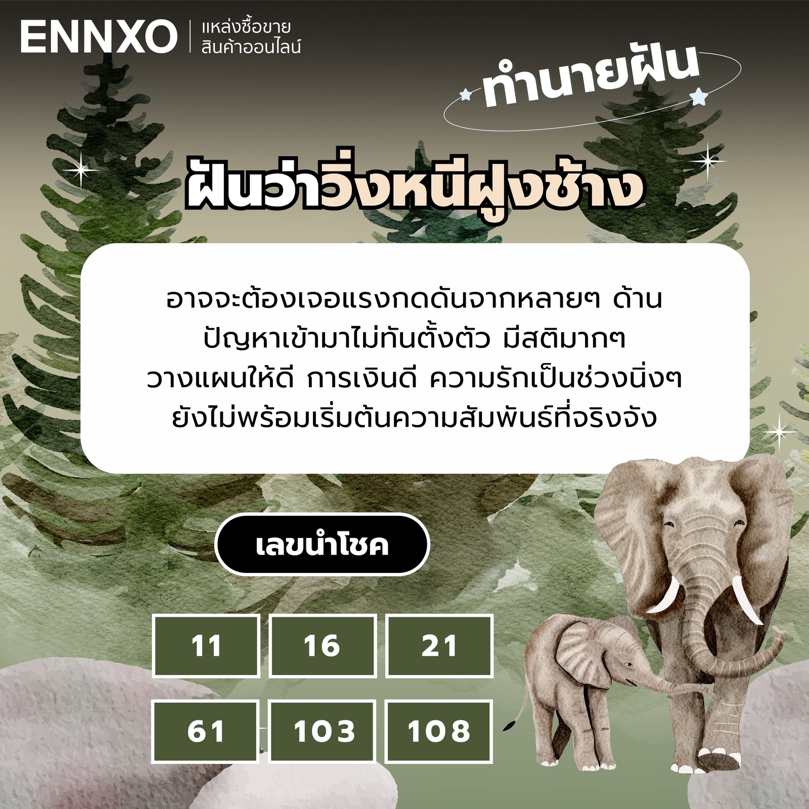 ทำนายฝัน ฝันว่าวิ่งหนีฝูงช้าง เลขเด็ด