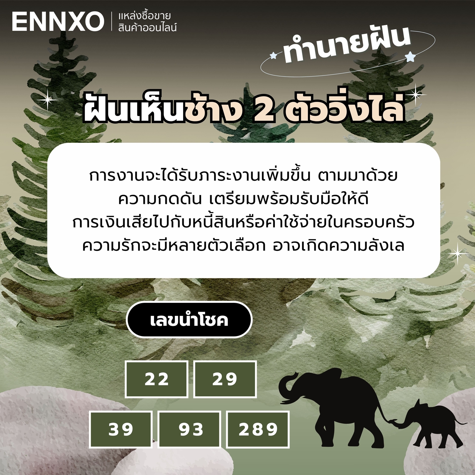 ทำนายฝัน ฝันเห็นช้าง 2 ตัววิ่งไล่ เลขเด็ด