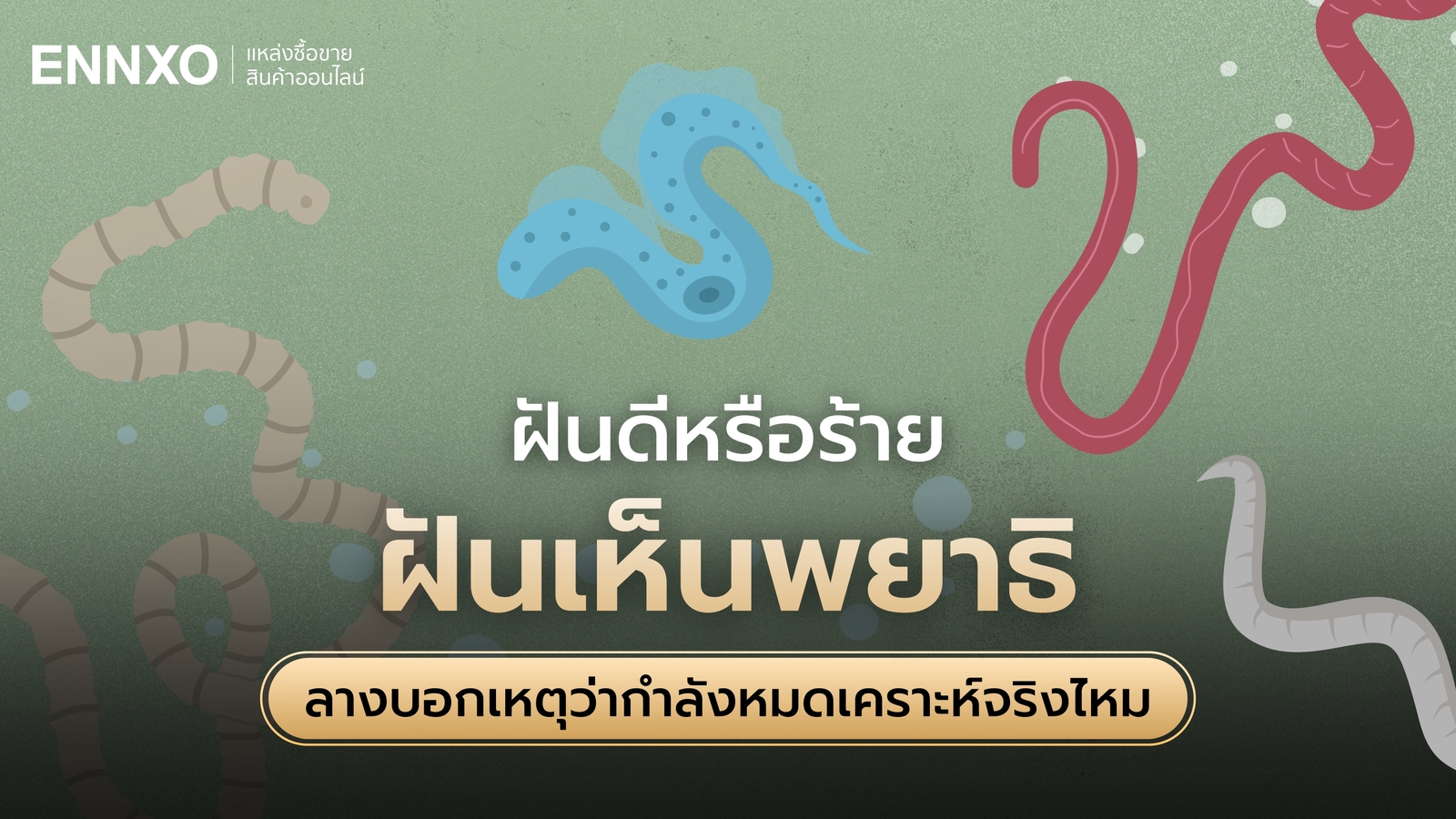 รวมทำนายฝันเห็นพยาธิ พร้อมเลขเด็ดและความหมายว่าดีหรือไม่