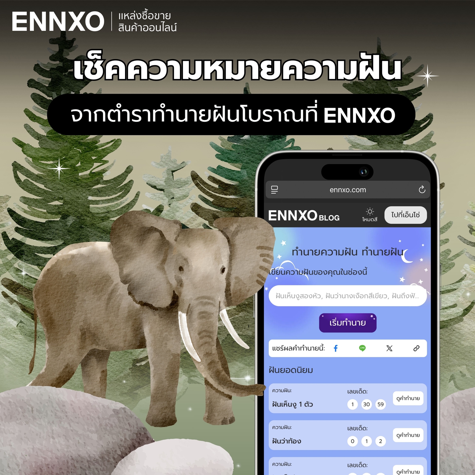 ทำนายฝันแม่นๆ เช็คความหมายฝันว่าช้างวิ่งไล่ที่ ENNXO