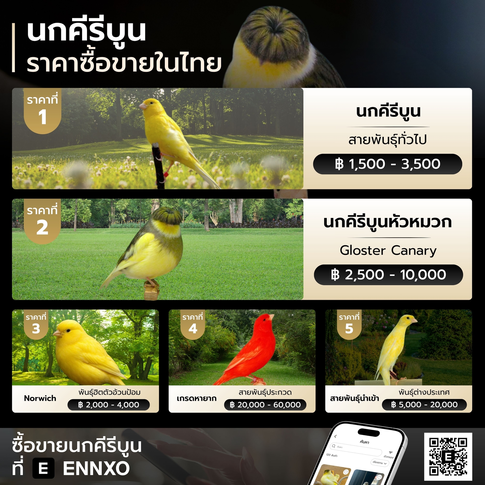 นกคีรีบูนหัวหมวก-ราคาเท่าไหร่