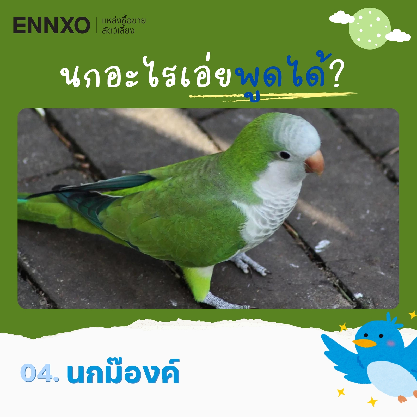 สายพันธุ์นกพูดได้