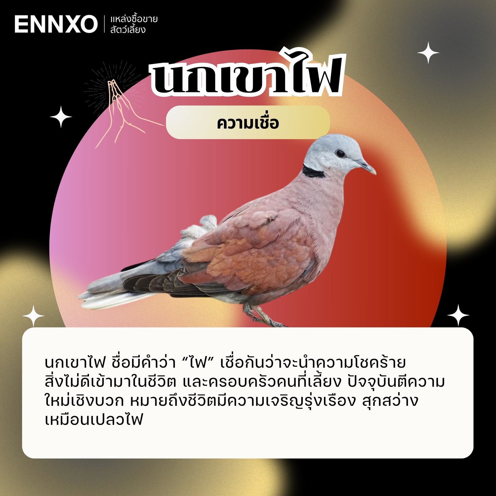 นกเขาไฟ ความเชื่อ