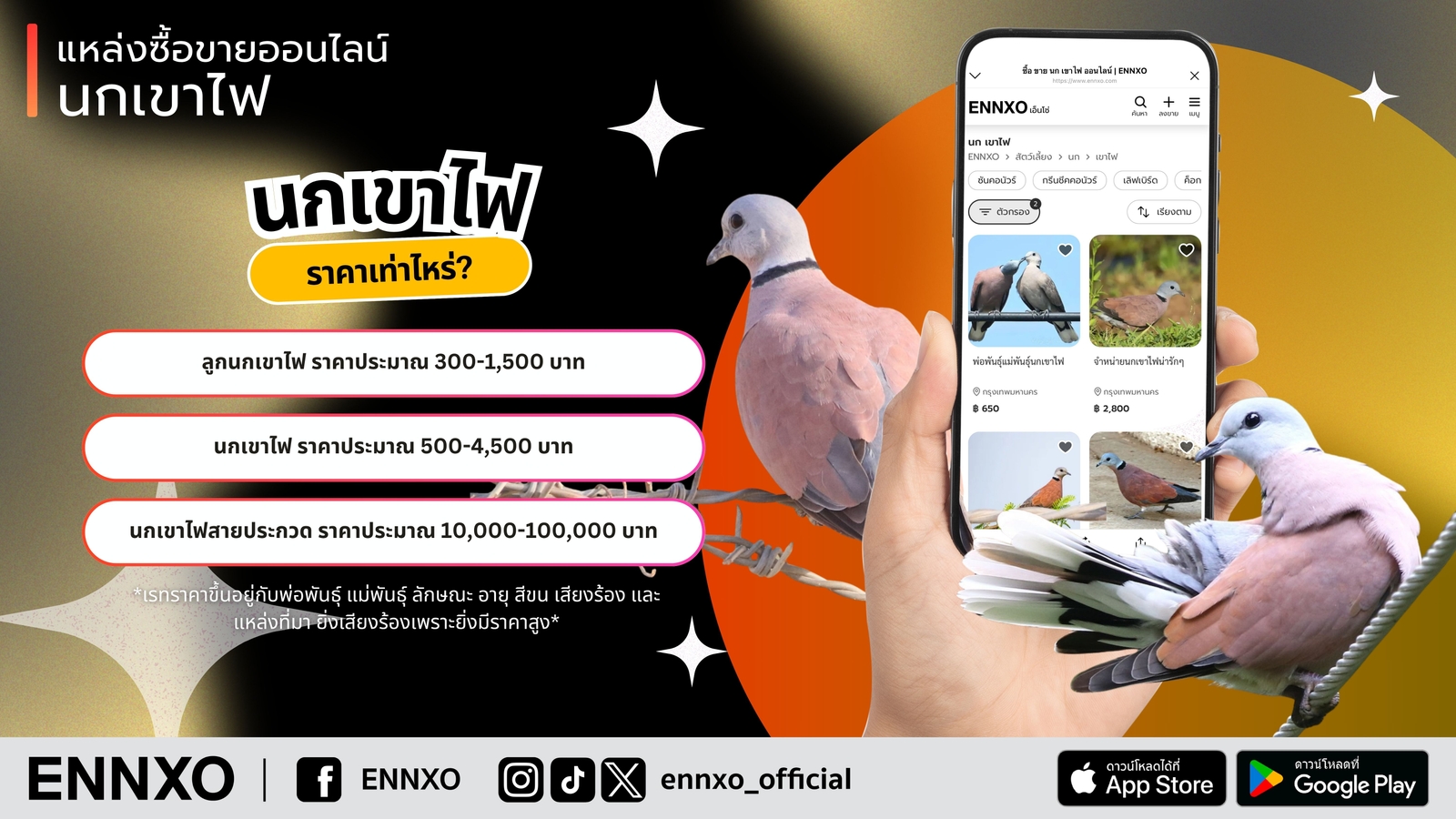 ซื้อขายนกเขาไฟ ราคาถูก