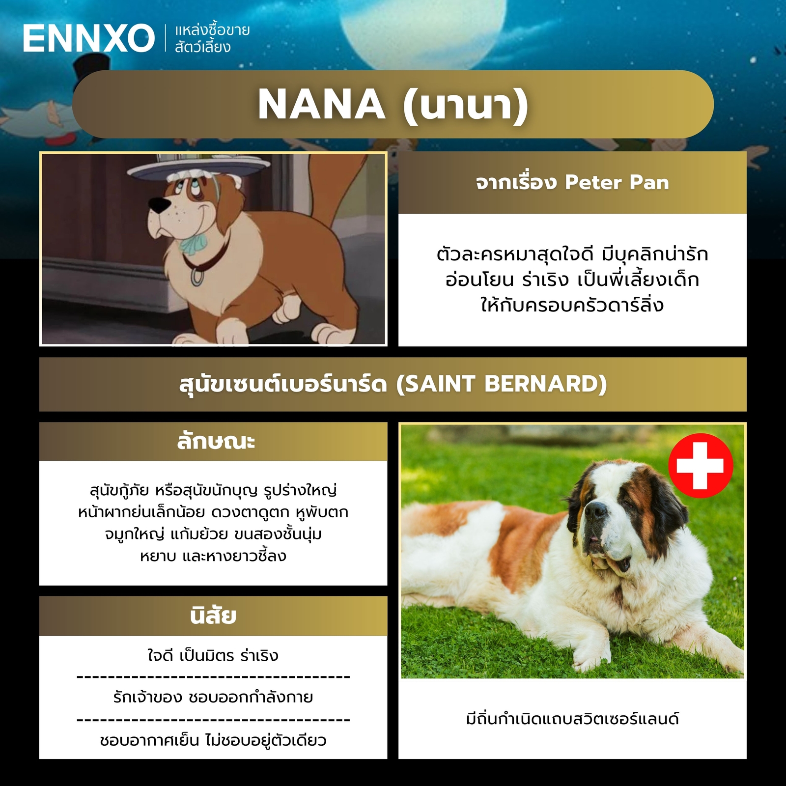 นานา ตัวละครหมาดิสนีย์จากเรื่อง Peter Pan