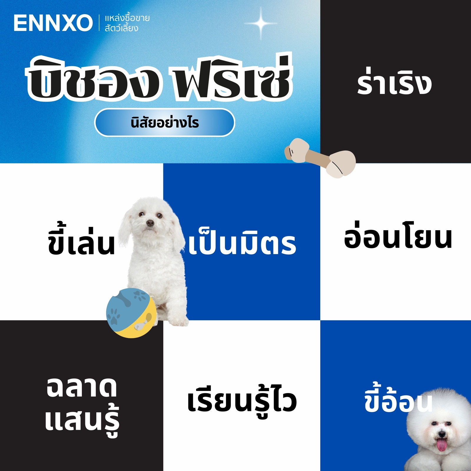 นิสัยของสุนัขบิชองเป็นอย่างไร