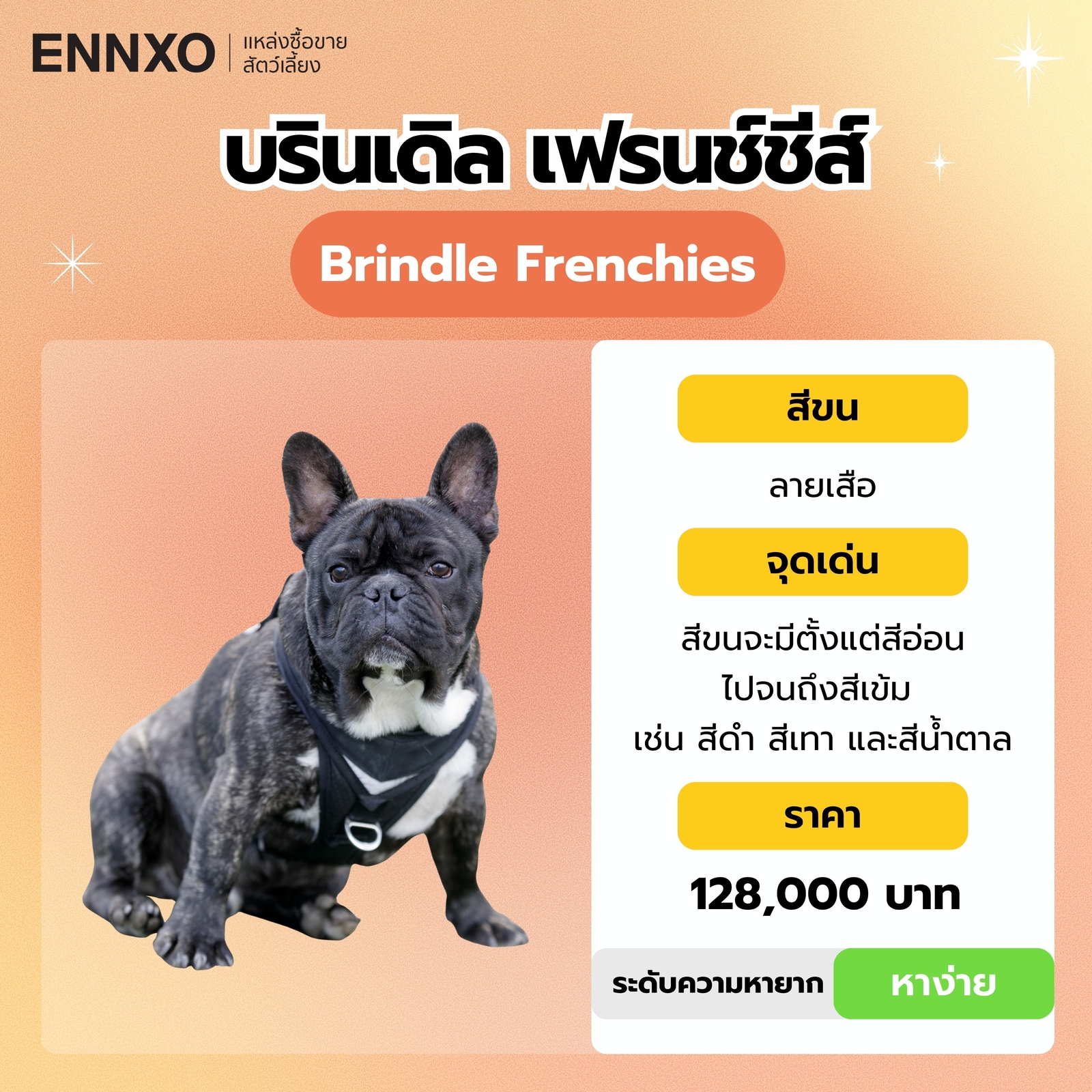 บรินเดิล เฟรนช์ชีส์