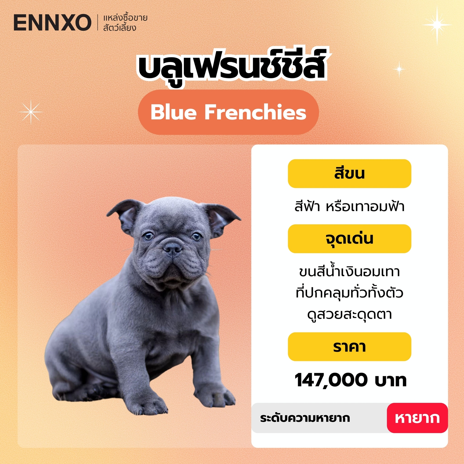 บลูเฟรนช์ชีส์