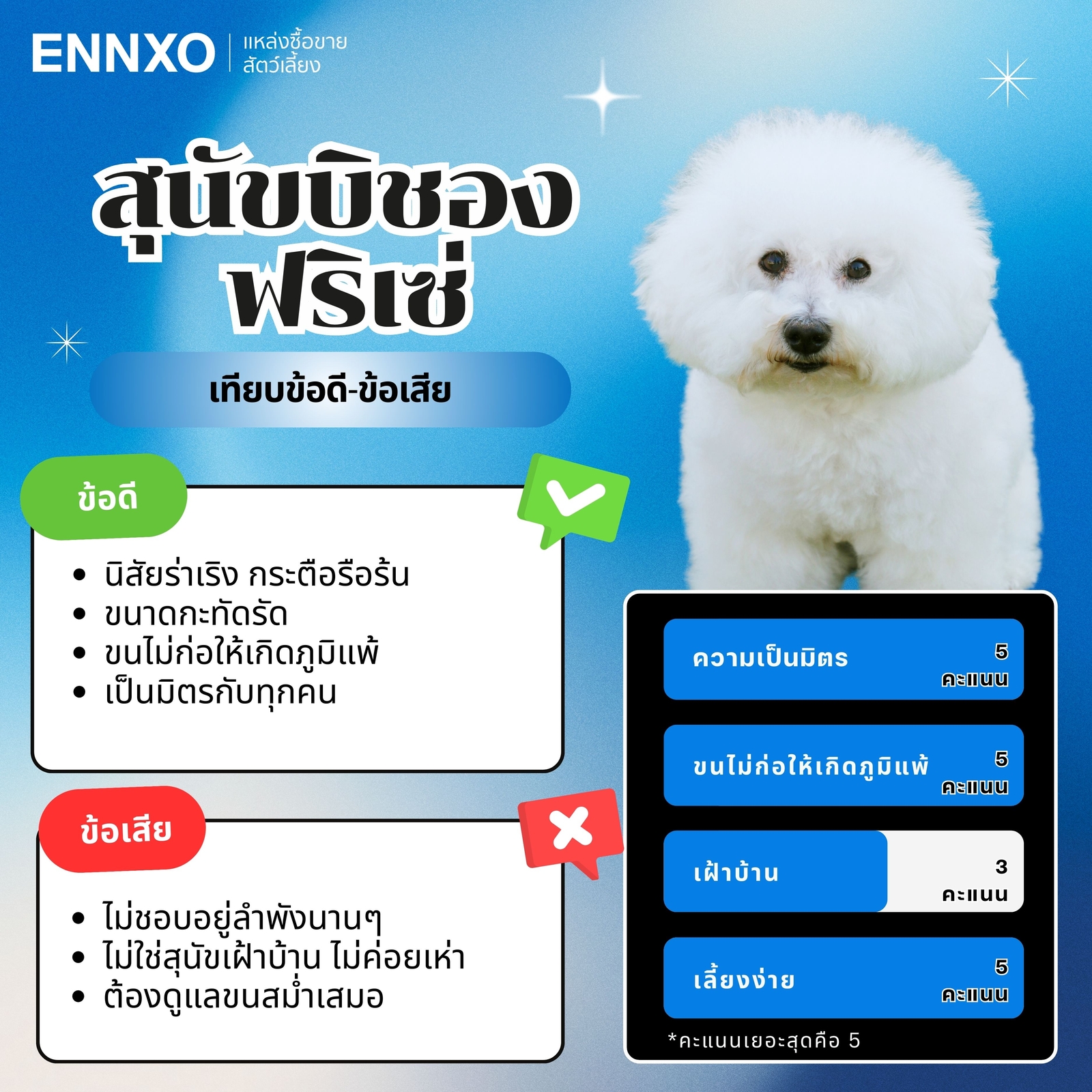 บิชอง-ฟริเซ่-สรุปข้อดี-ข้อเสีย