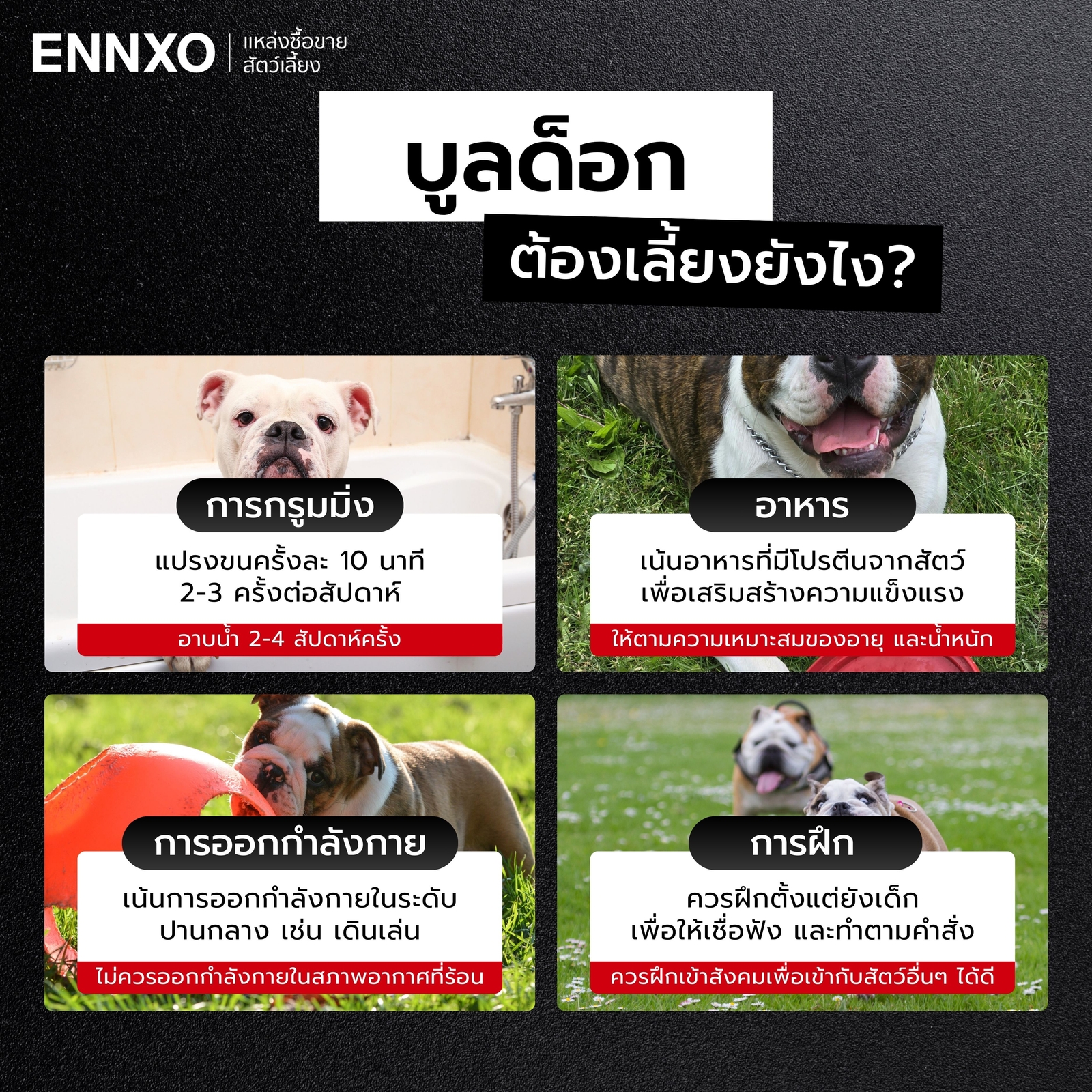 บูลด็อก ดุไหม