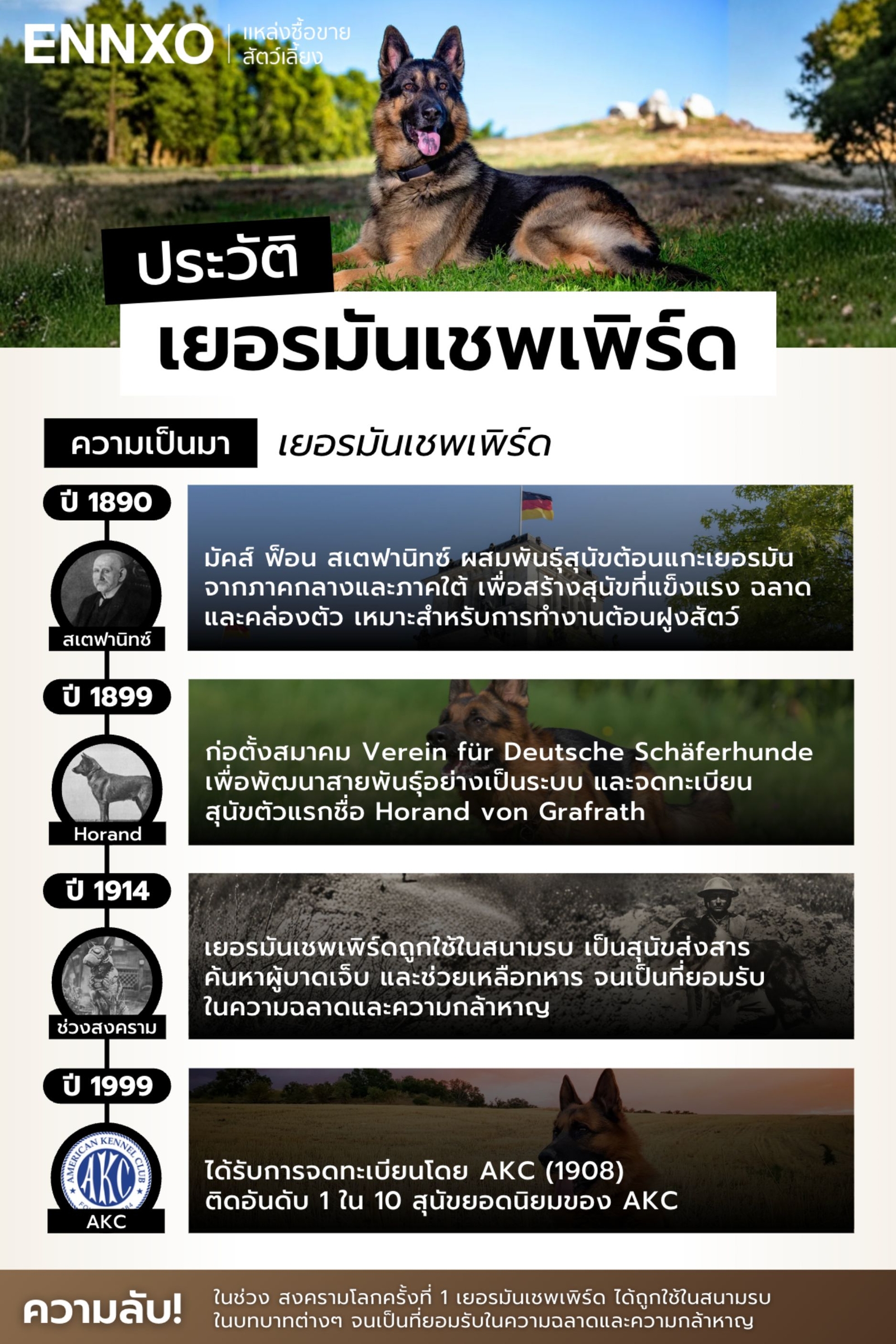 ประวัติสุนัขเยอรมันเชพเพิร์ด