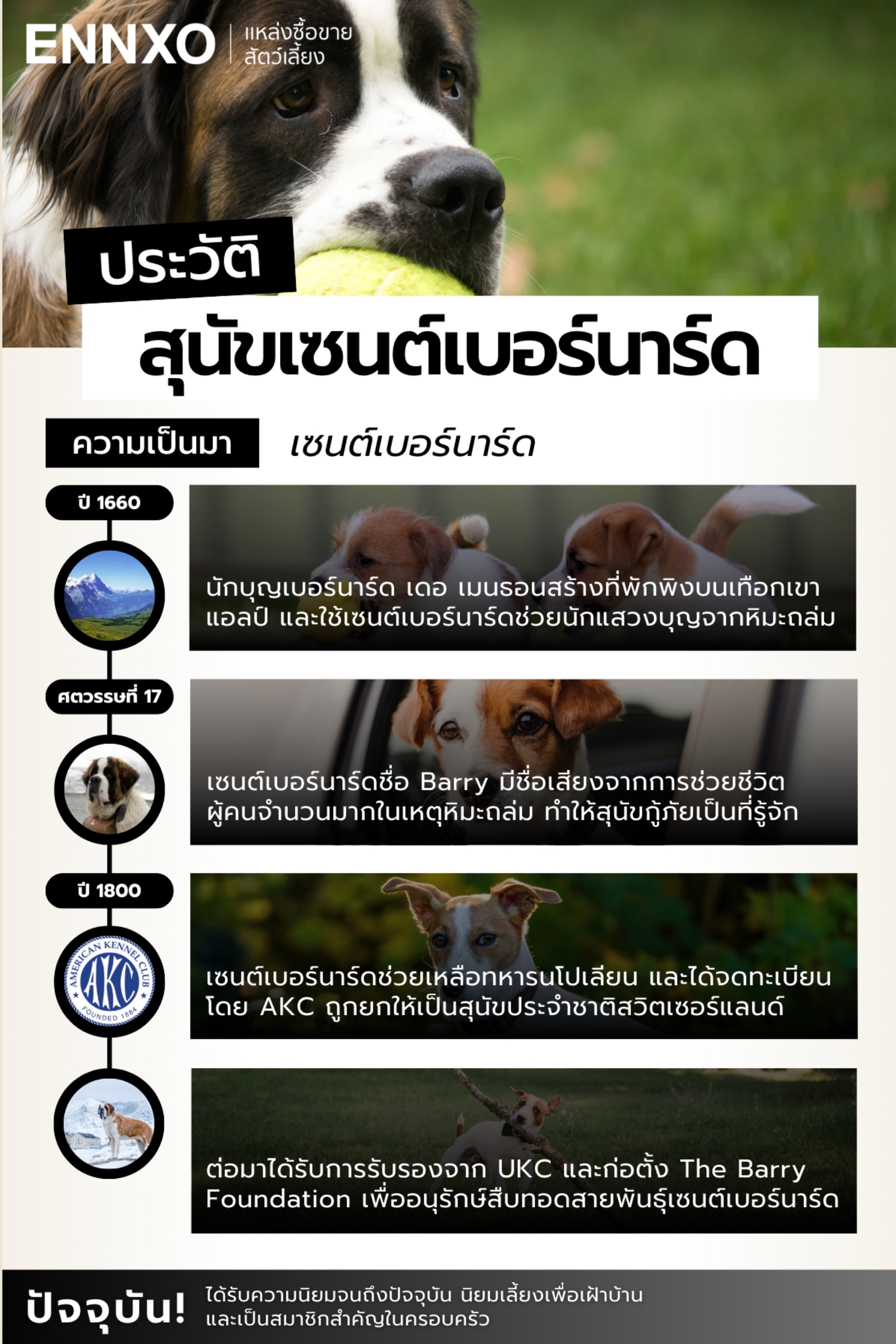 สุนัขเซนต์เบอร์นาร์ด ประวัติความเป็นมา