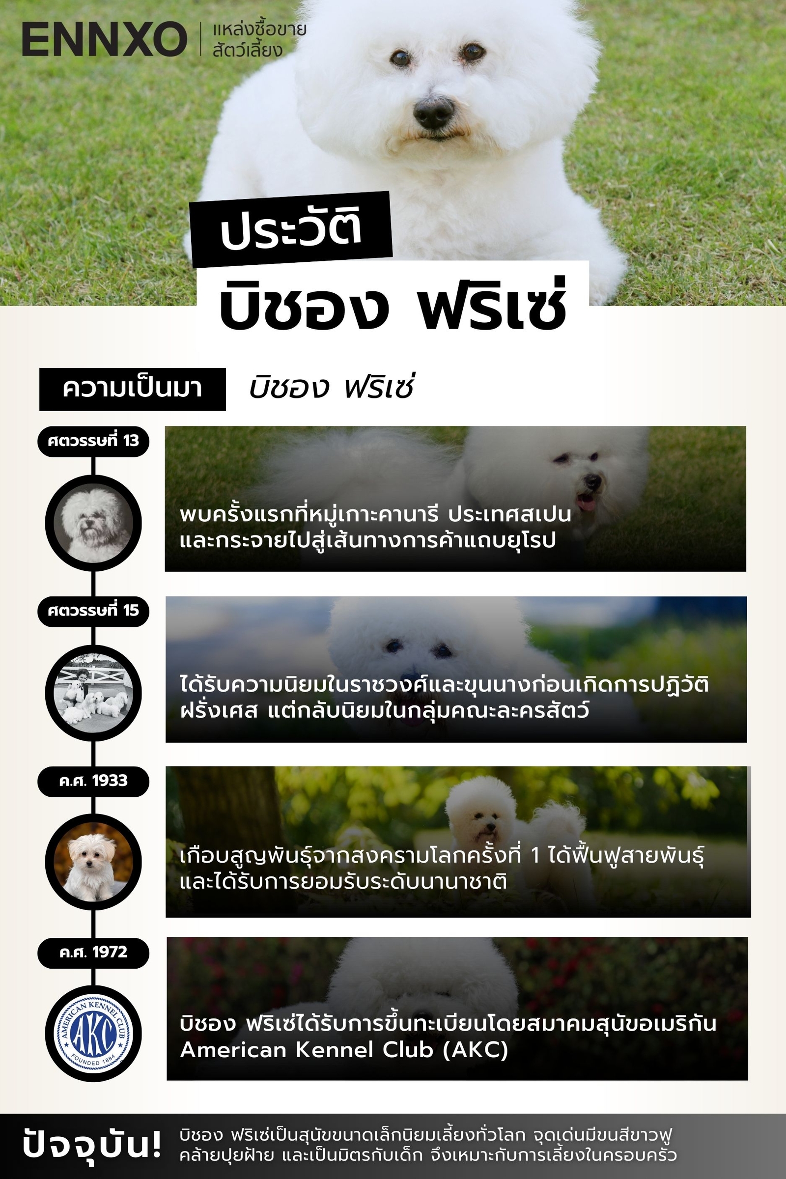 ประวัติสุนัข-บิชอง-ฟริเซ่