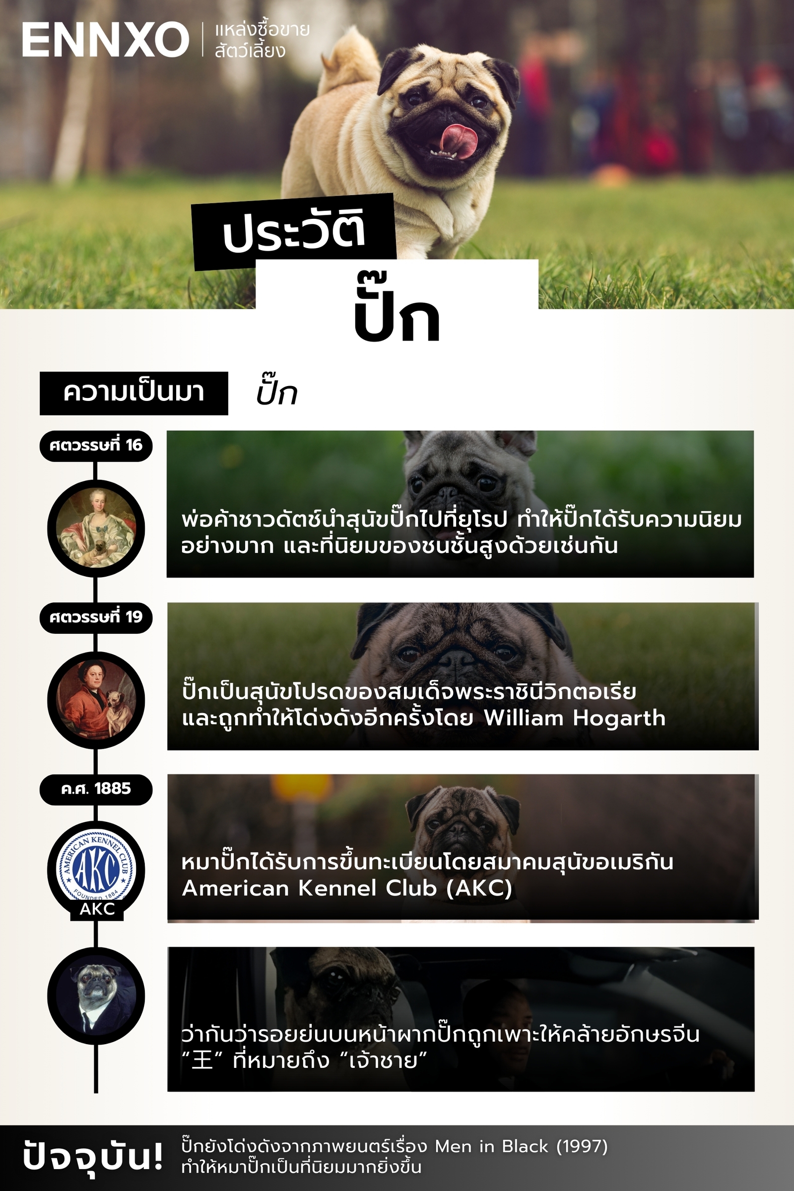 สุนัขปั๊ก มีที่มาจากไหน