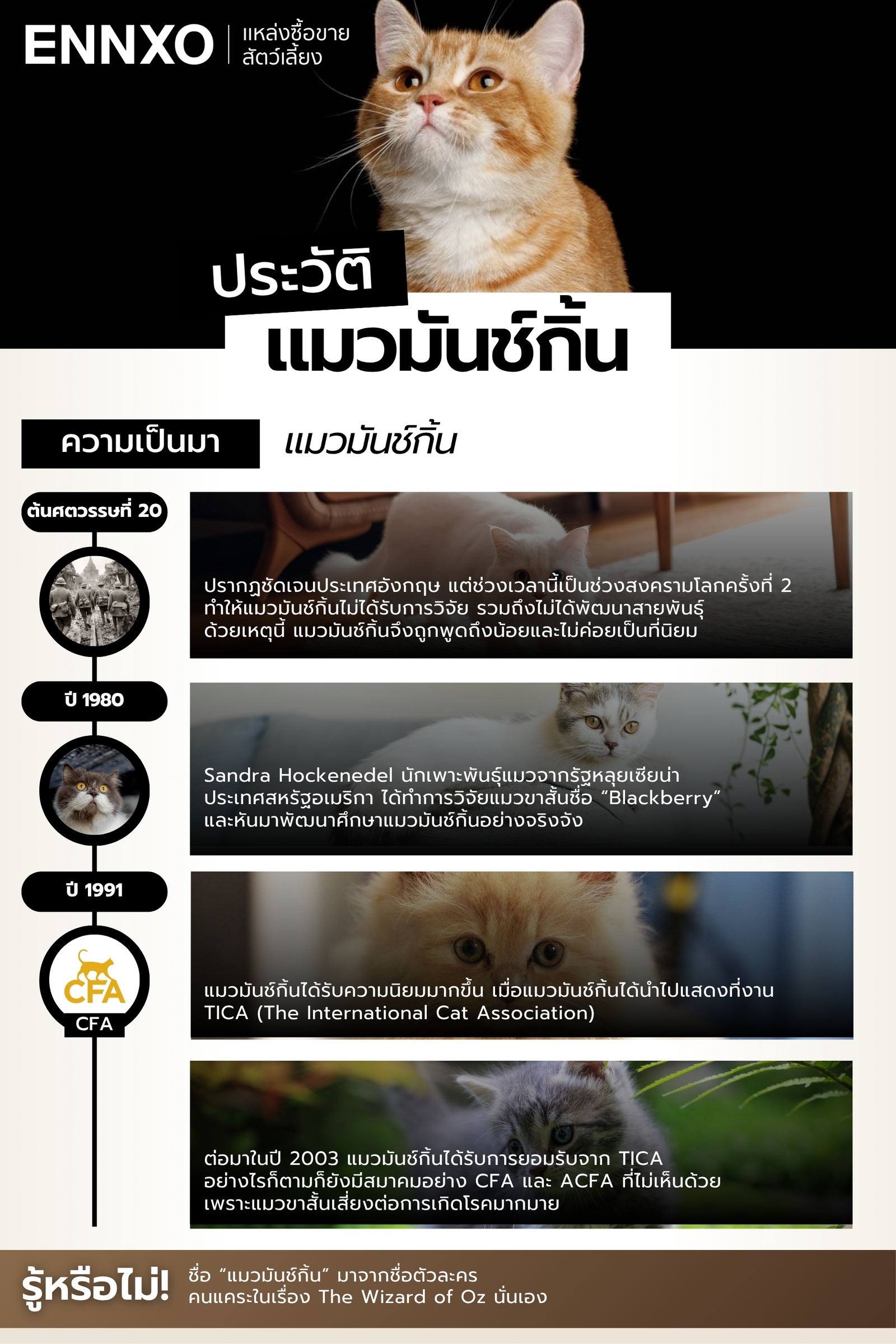 แมวมันช์กิ้น มีที่มาอย่างไร