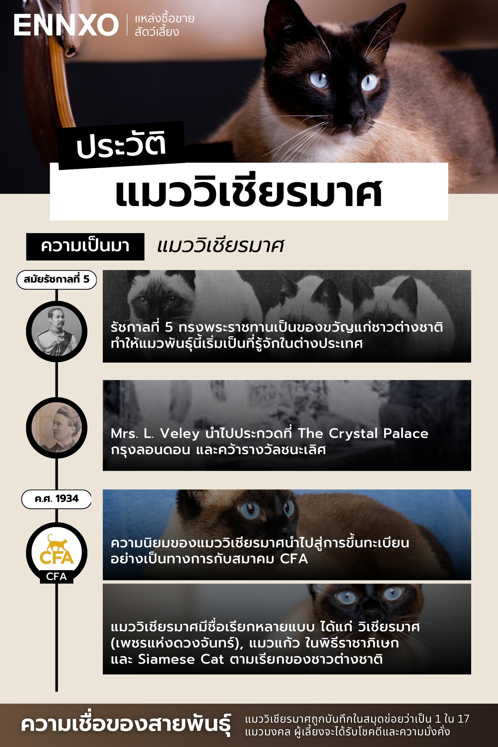 ความเป็นมาของแมววิเชียรมาศ