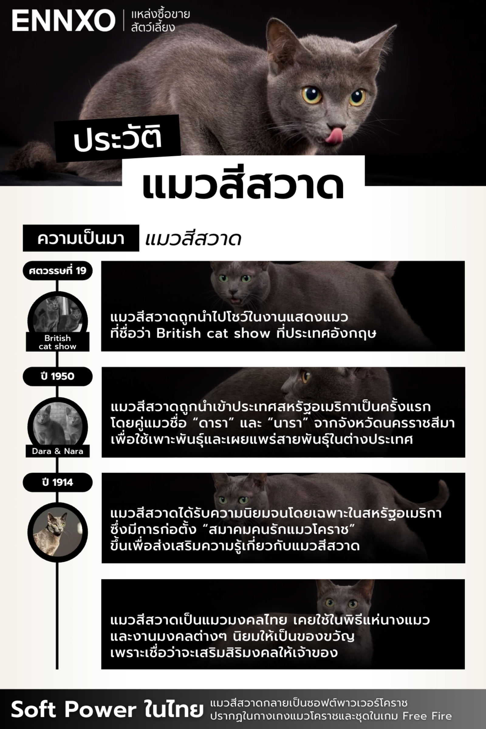 ประวัติแมวโคราช