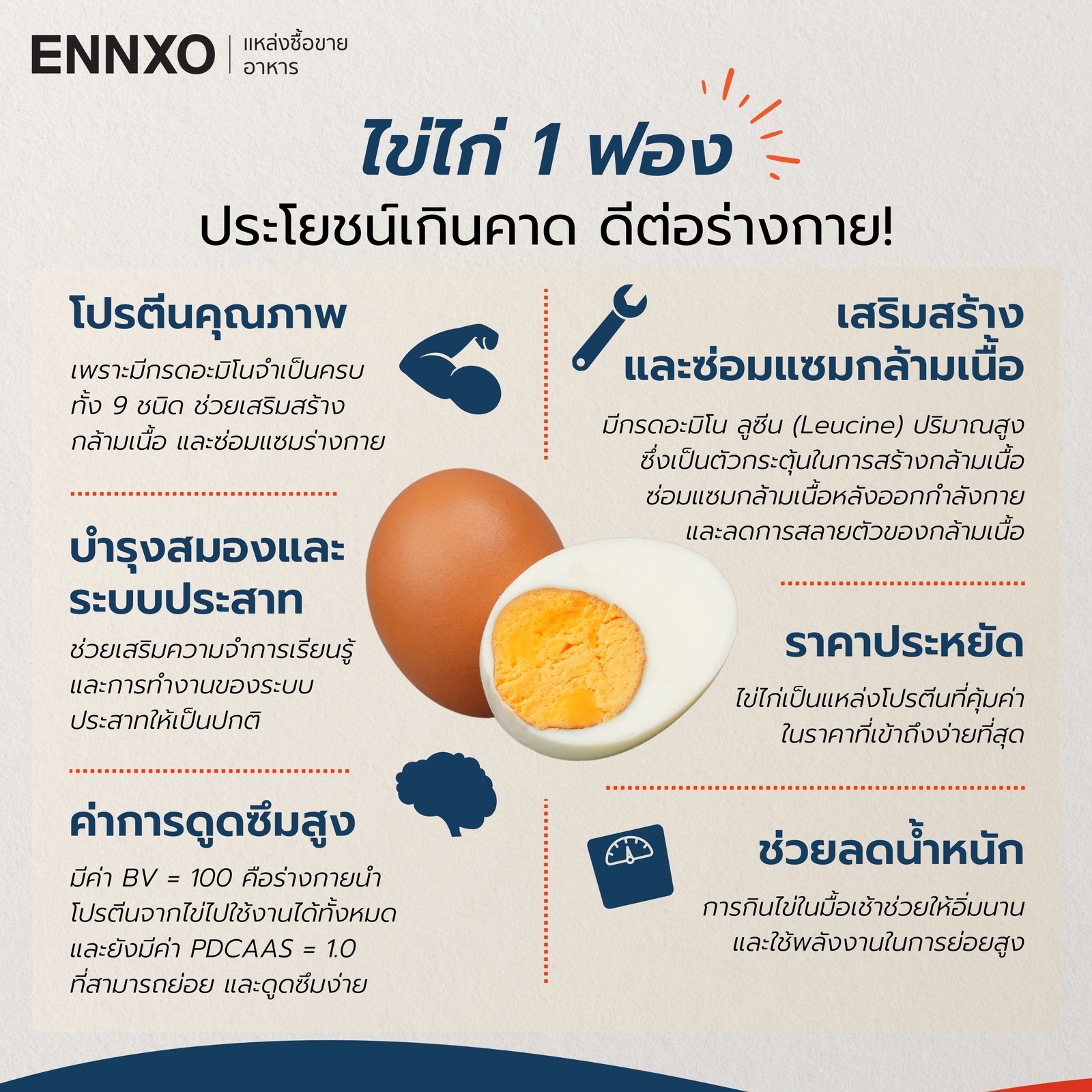 ไข่ไก่ 1 ฟอง มีประโยชน์ต่อร่างกายอย่างไร