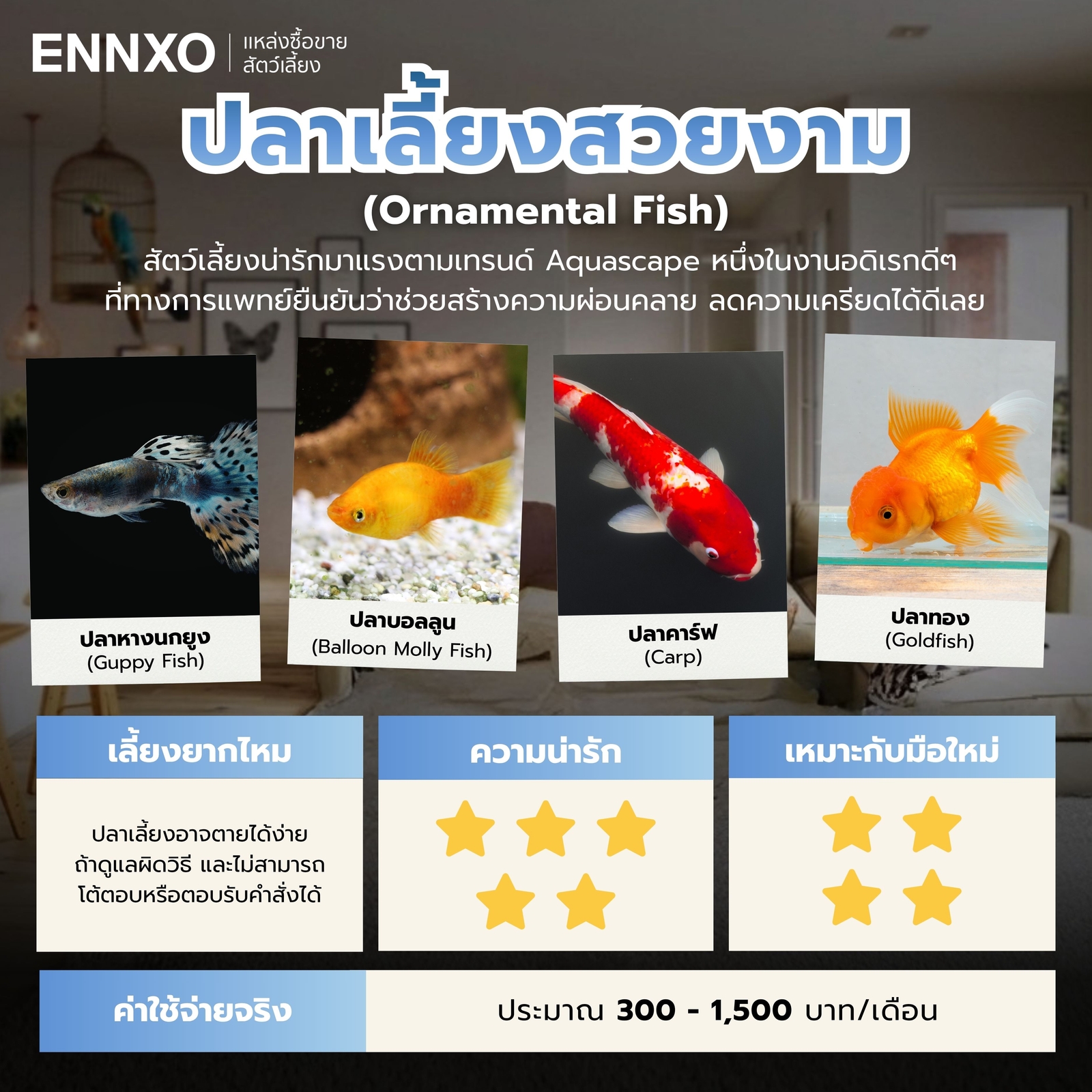 ปลาเลี้ยงง่ายในตู้เล็กๆ