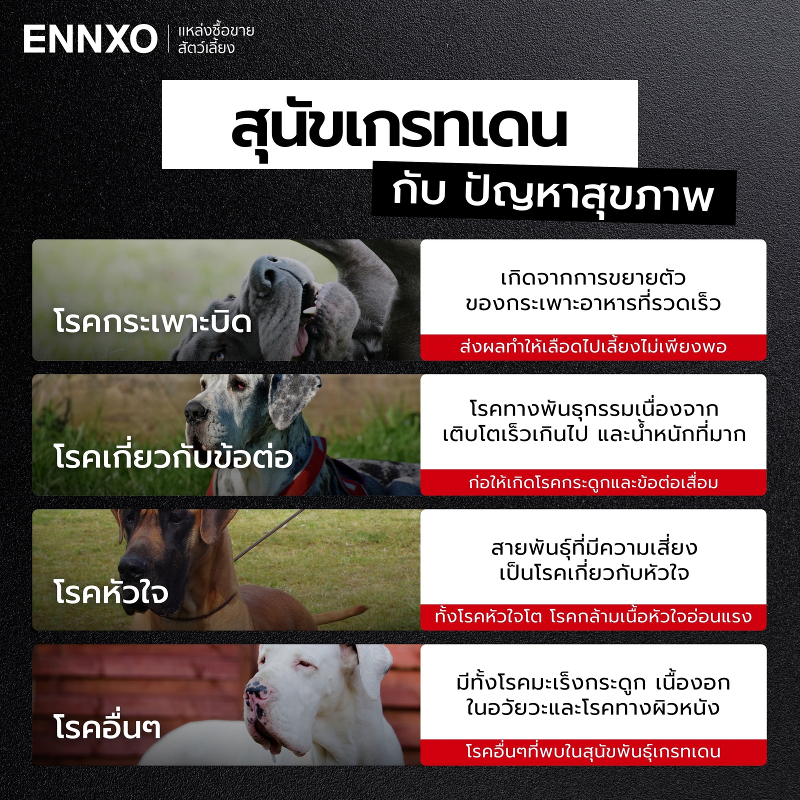 ปัญหาของการเลี้ยงสุนัขเกรทเดน