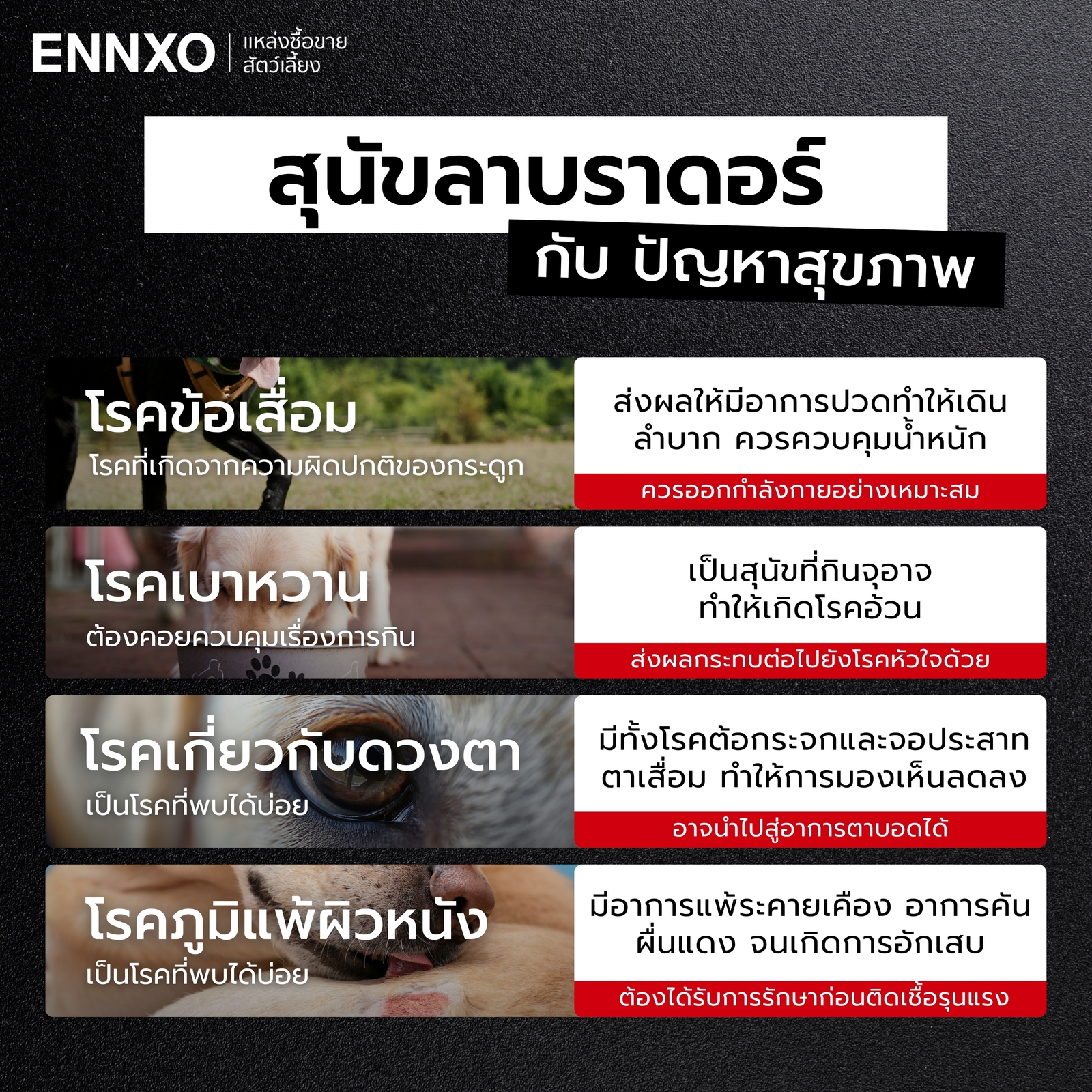 ปัญหาสุขภาพที่ต้องระมัดระวังเป็นพิเศษในสุนัขลาบราดอร์