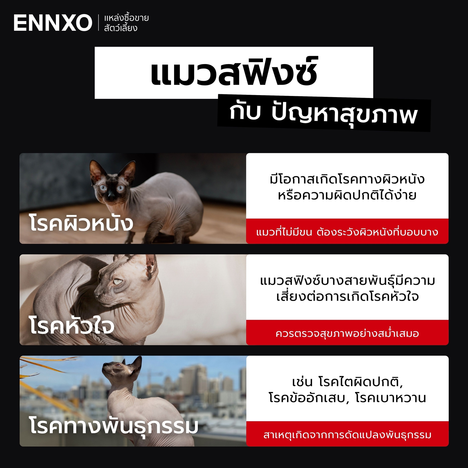 ปัญหาสุขภาพของแมวสฟิงซ์