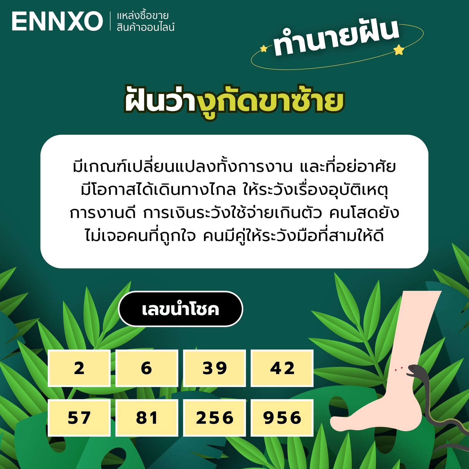 ฝันว่างูกัดขาซ้าย