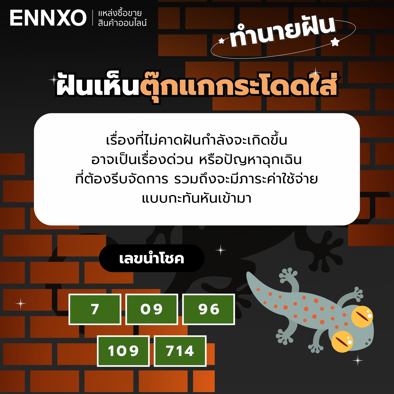 ฝันว่าตุ๊กแกกระโดดเกาะ-ใส่หน้า-เลขเด็ด