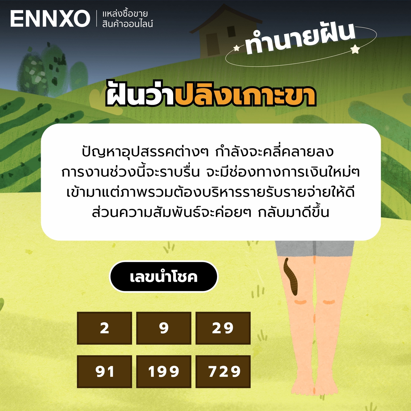 ฝันว่าปลิงเกาะขา-เลขเด็ด