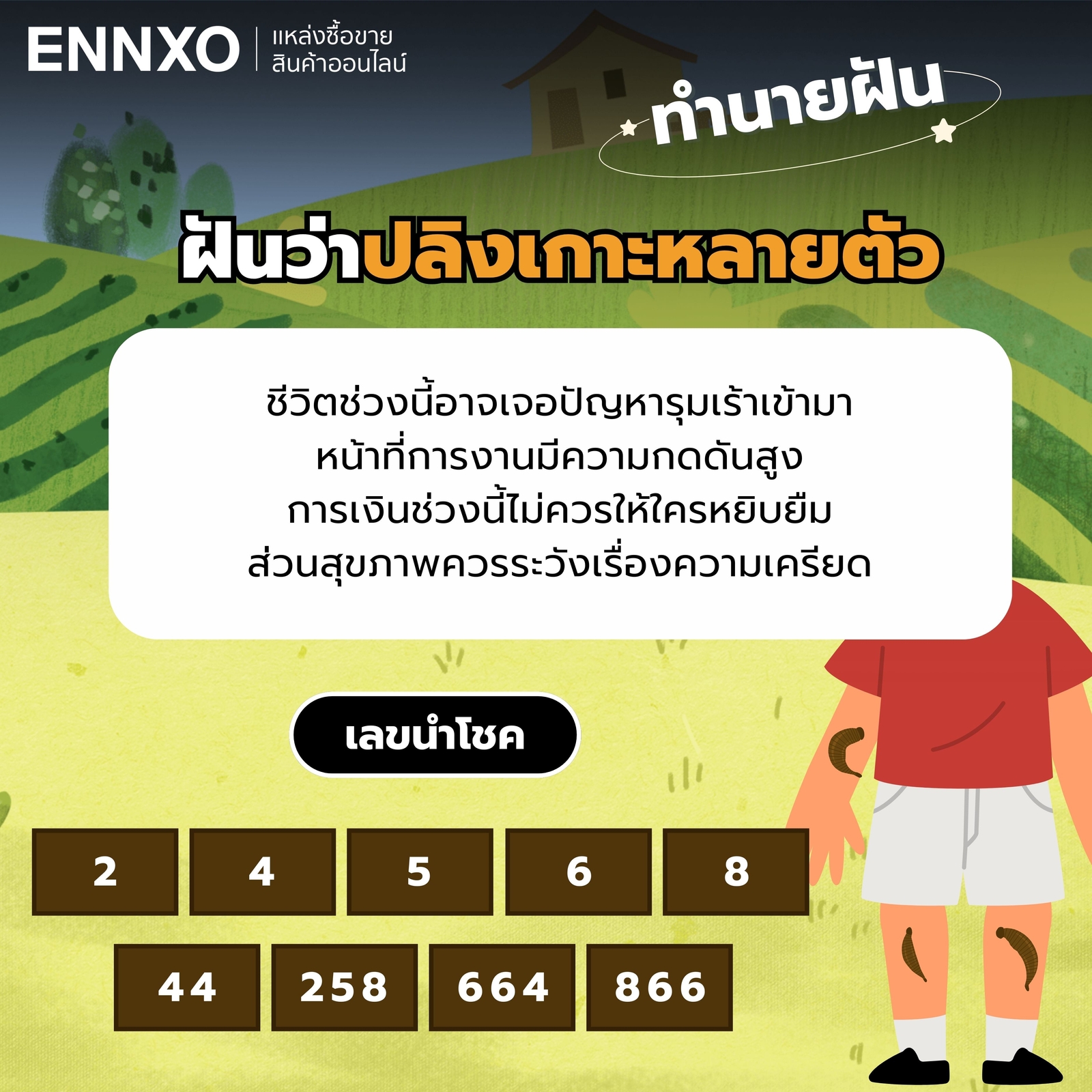 ฝันว่าปลิงเกาะหลายตัว-เต็มตัว-เลขเด็ด