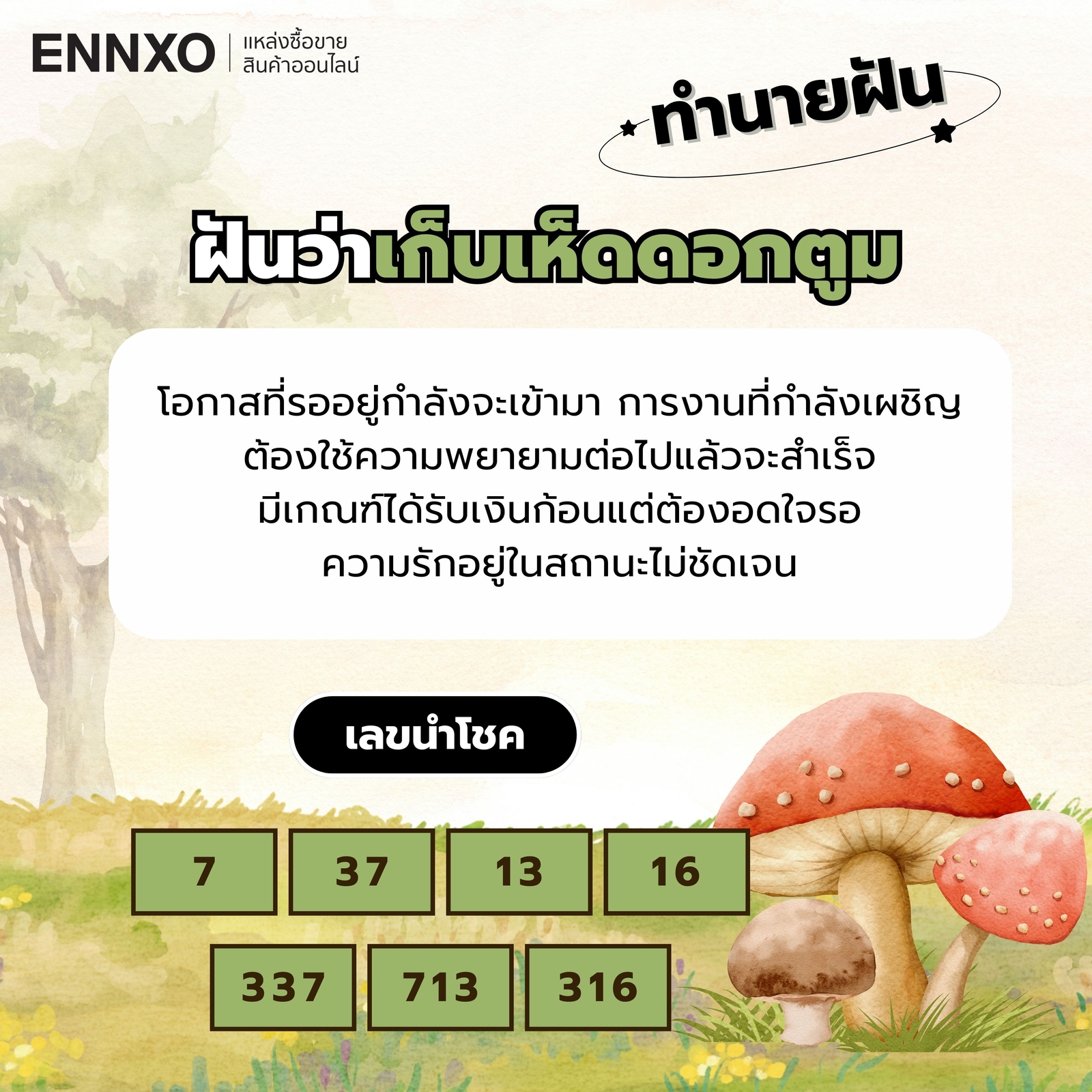 ฝันว่าเก็บเห็ดดอกตูม-เลขเด็ด