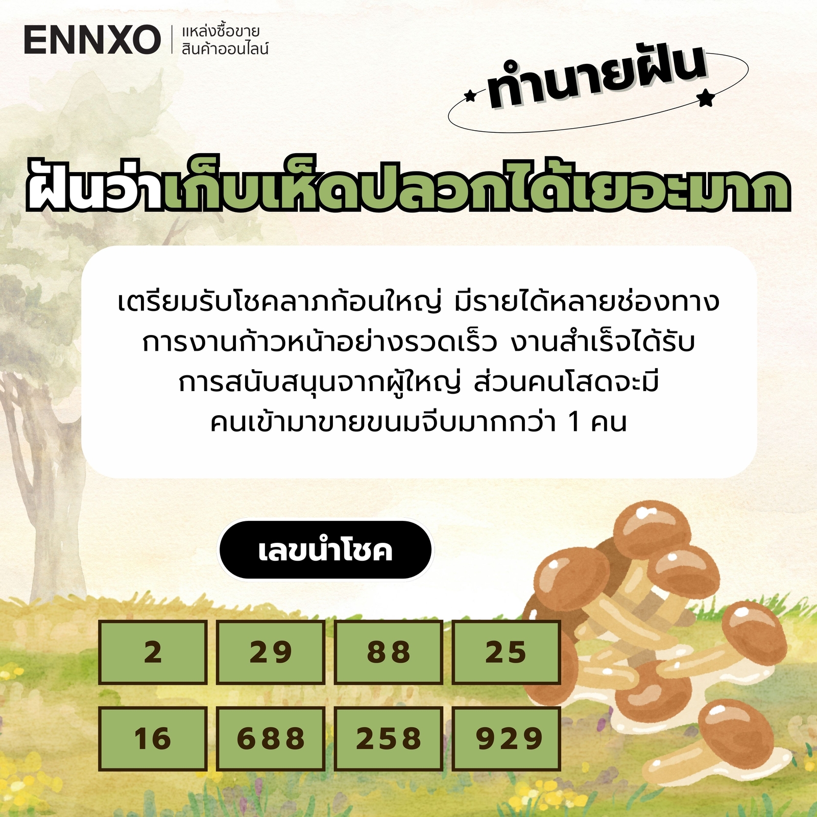 ฝันว่าเก็บเห็ดปลวกได้เยอะมาก-เลขเด็ด