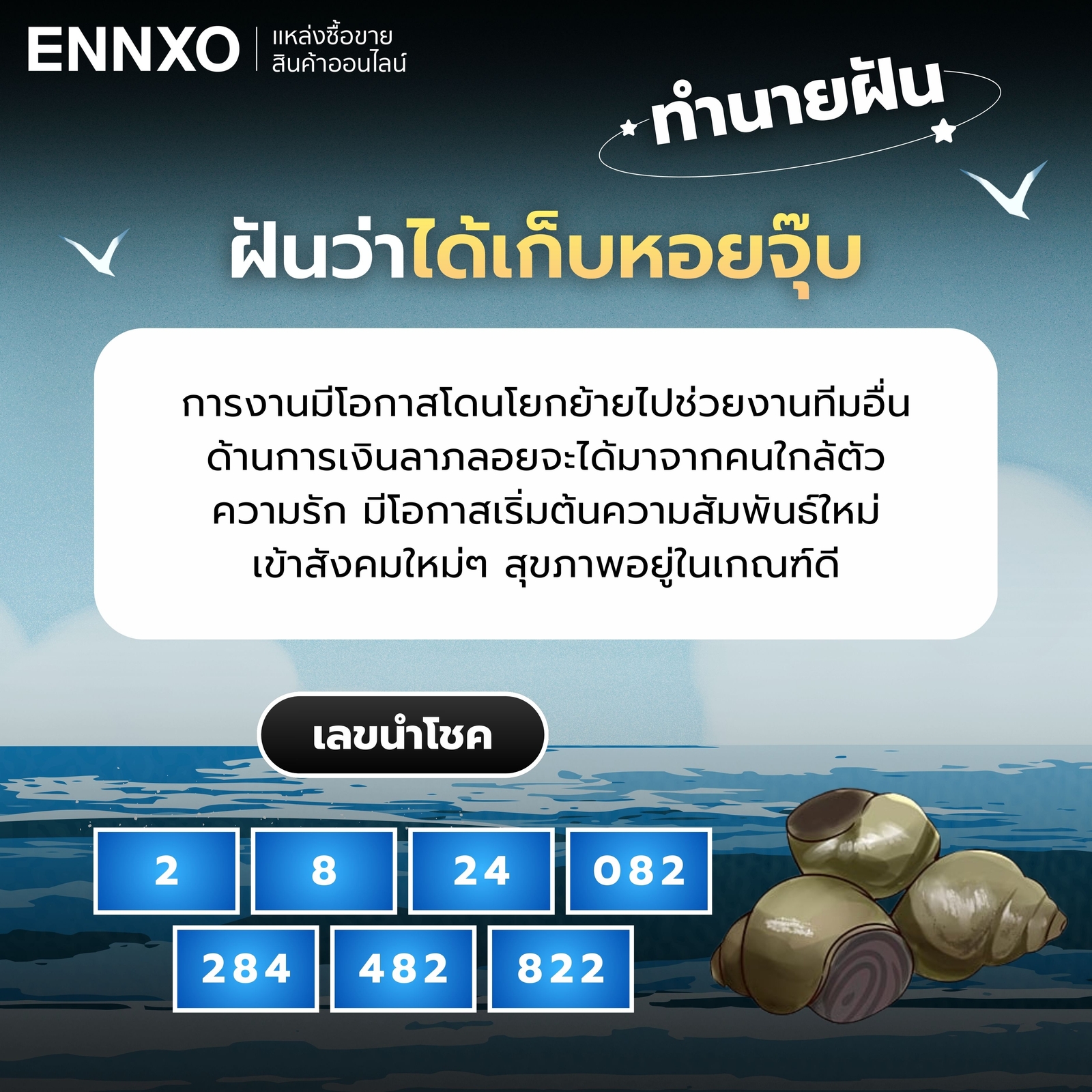 ฝันว่าได้เก็บหอยจุ๊บ ทำนายฝัน