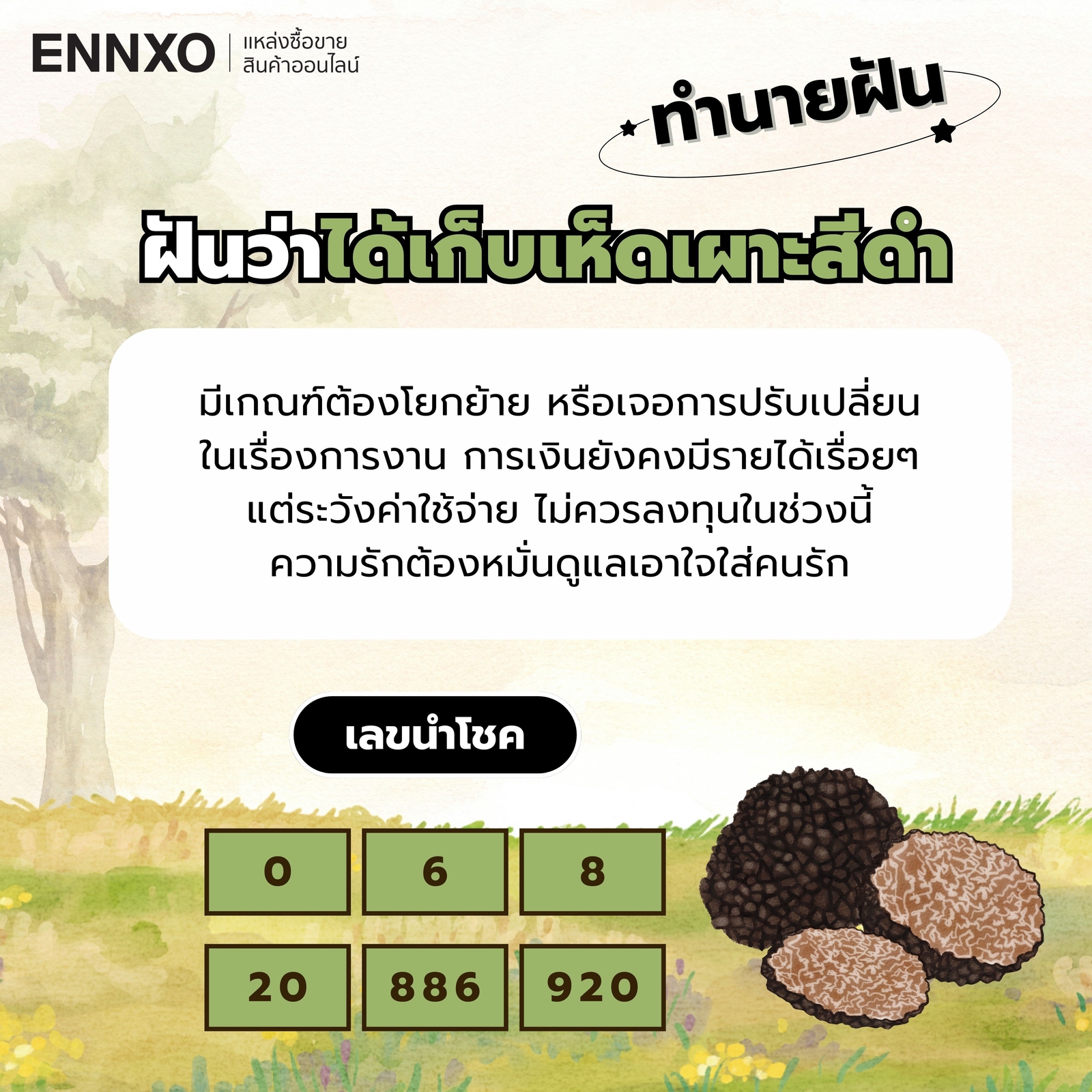ฝันว่าได้เก็บเห็ดเผาะสีดํา-เลขเด็ด