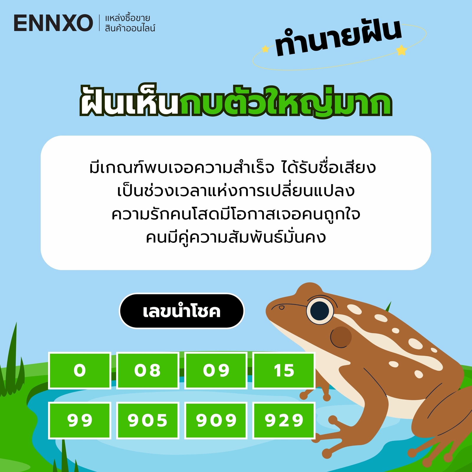 ฝันเห็นกบตัวใหญ่มาก-เลขเด็ด