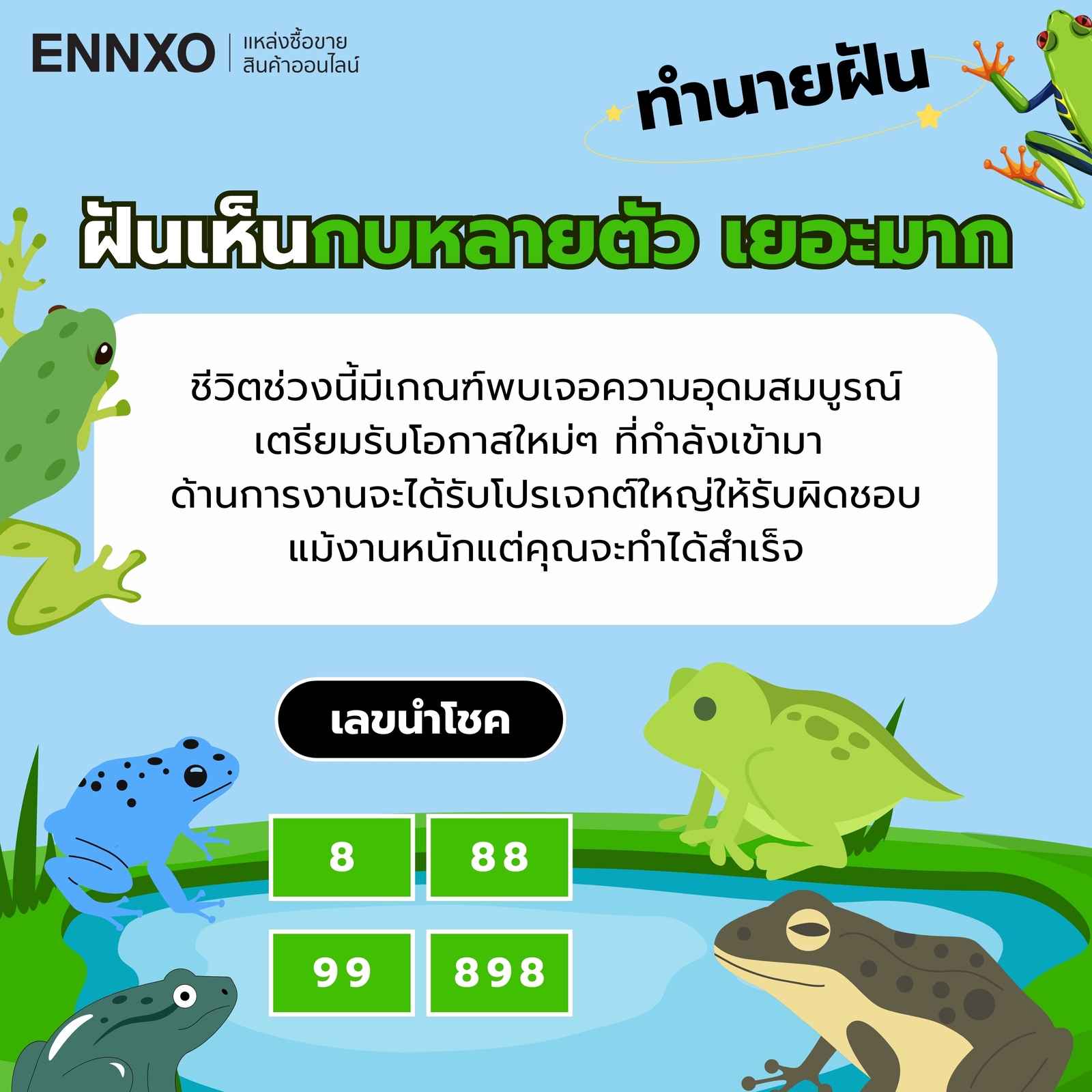 ฝันเห็นกบเยอะมาก-เลขเด็ด