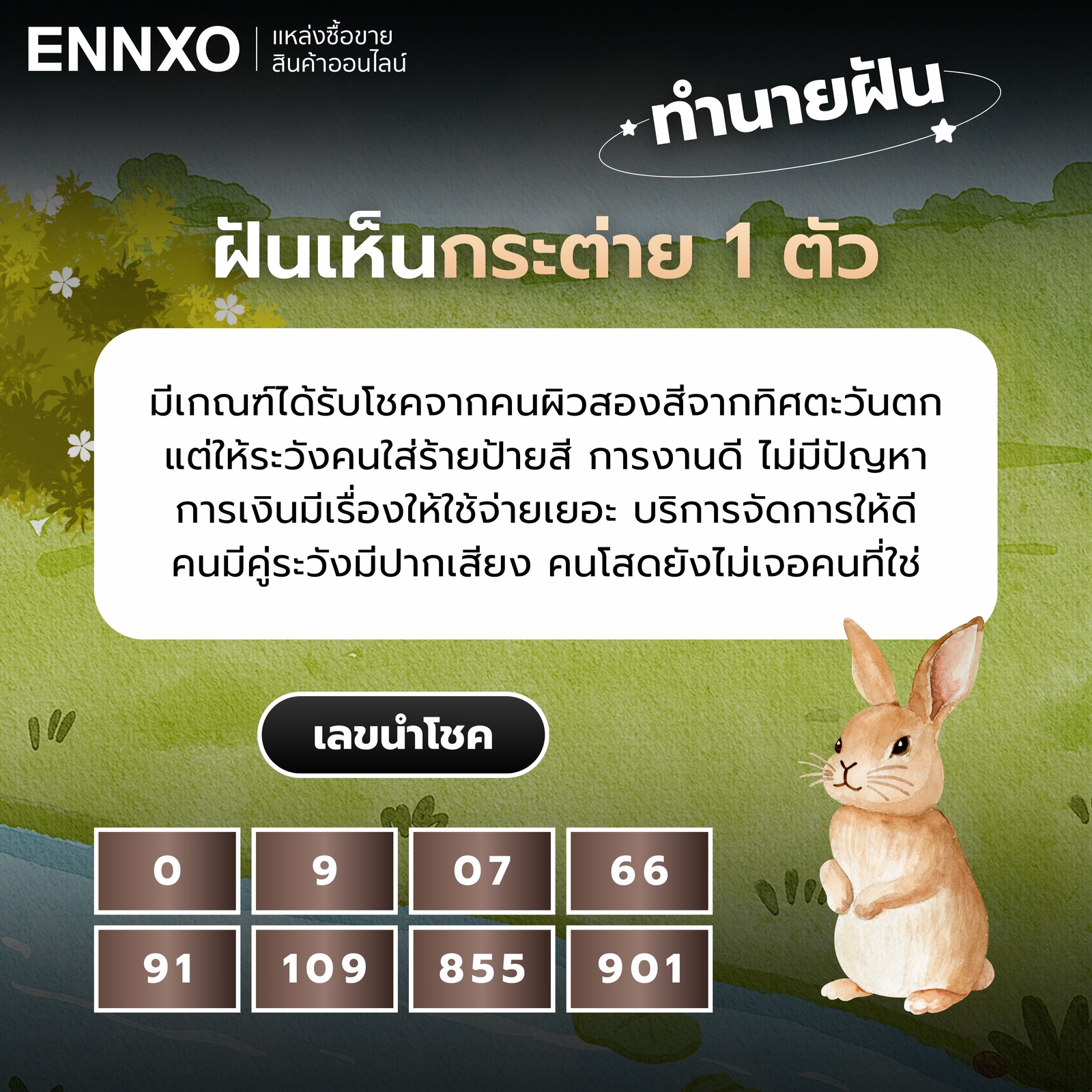 ฝันเห็นกระต่าย 1 ตัว เลขเด็ด
