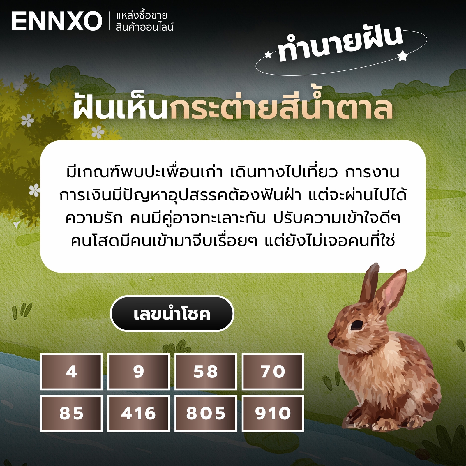 ฝันเห็นกระต่ายสีน้ำตาล เลขเด็ด