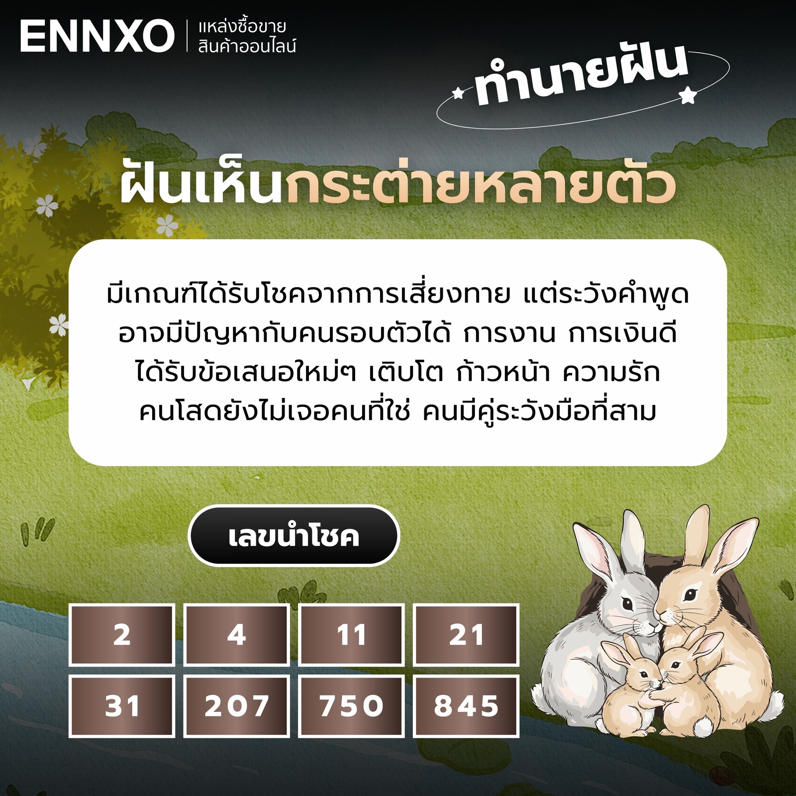 ฝันเห็นกระต่ายหลายตัว เลขเด็ด