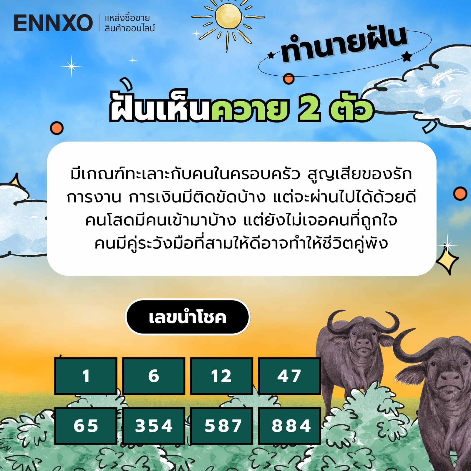 ฝันเห็นควาย 2 ตัว