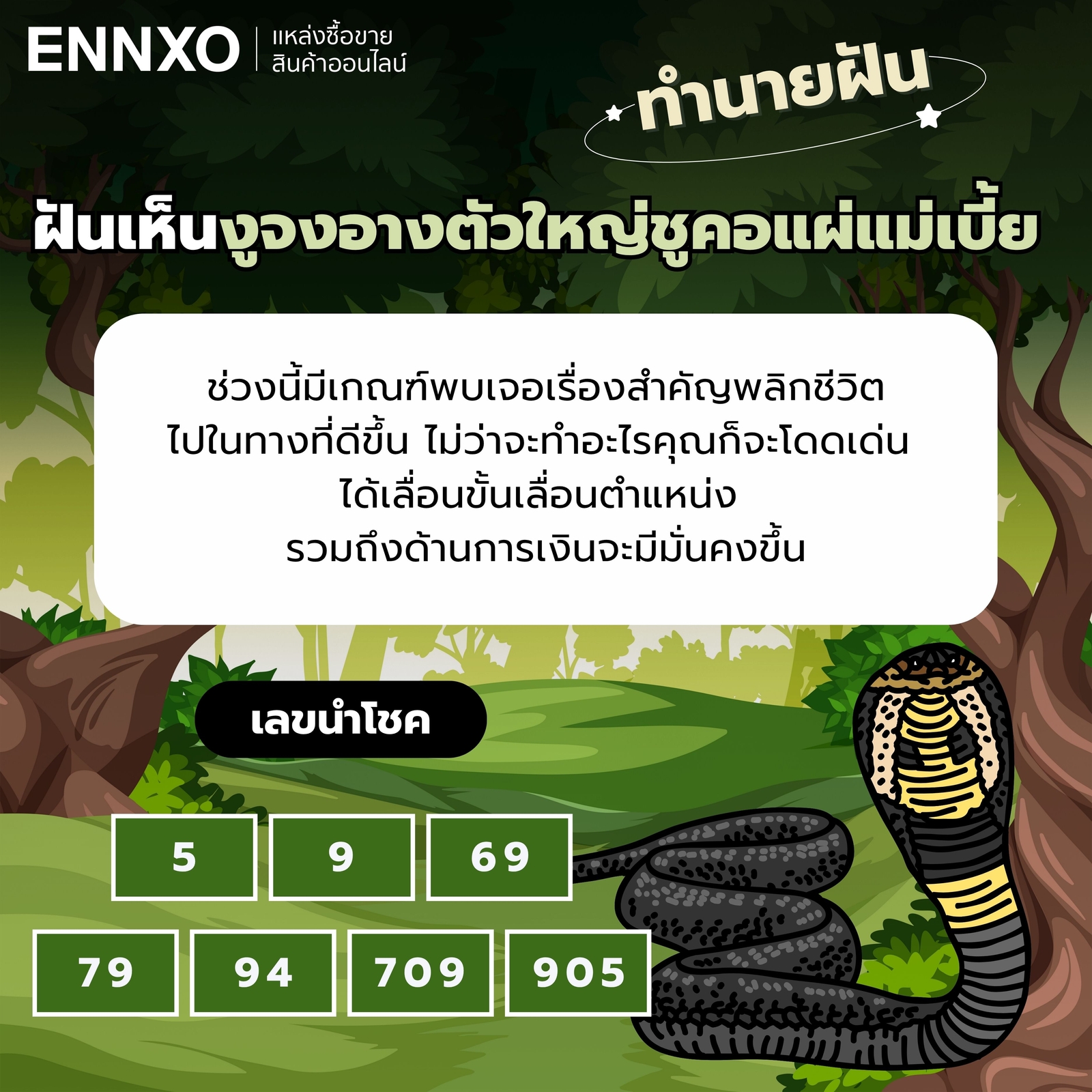 ฝันเห็นงูจงอางชูคอแผ่แม่เบี้ย-แต่ไม่กัด-เลขเด็ด