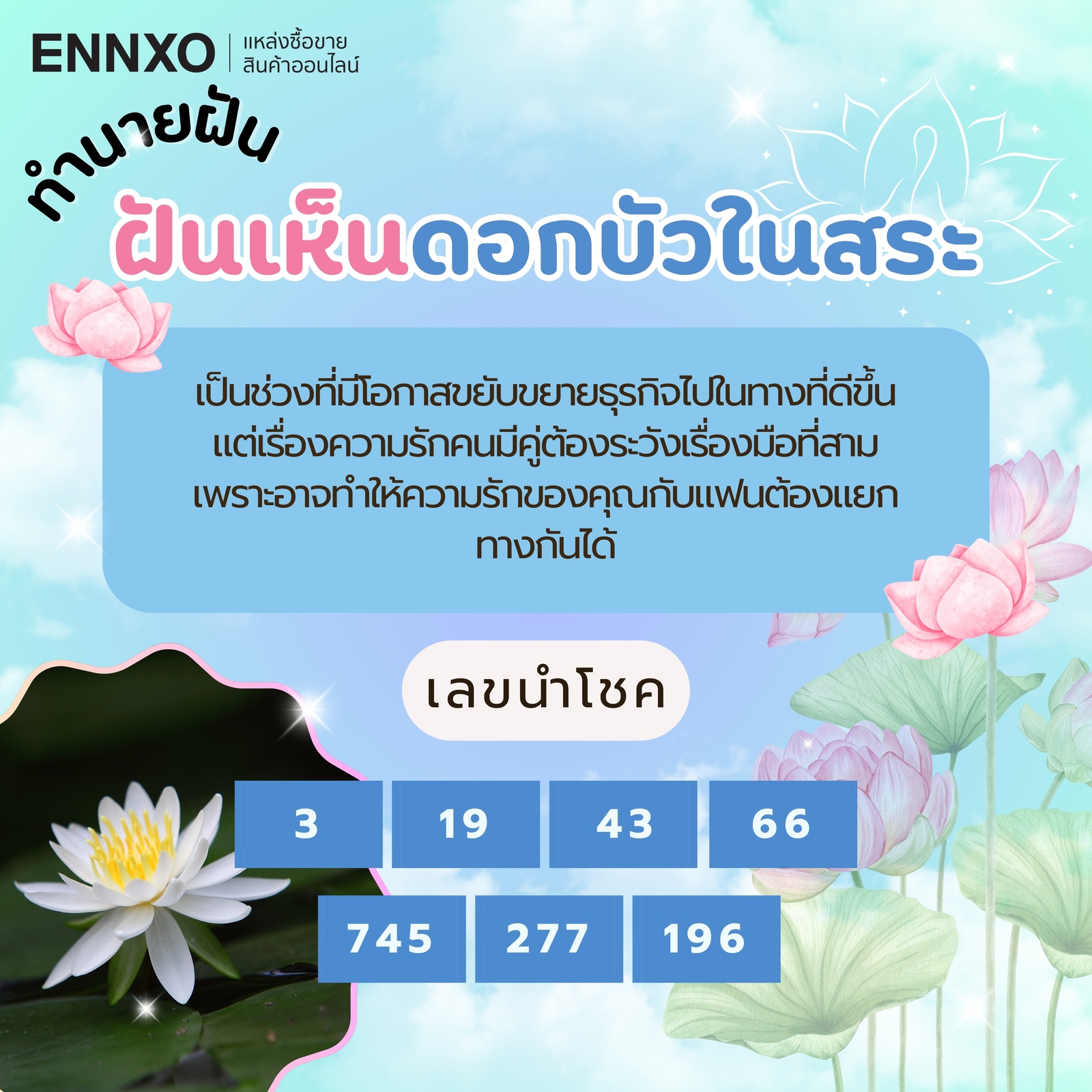 ทำนายฝันเห็นดอกบัว