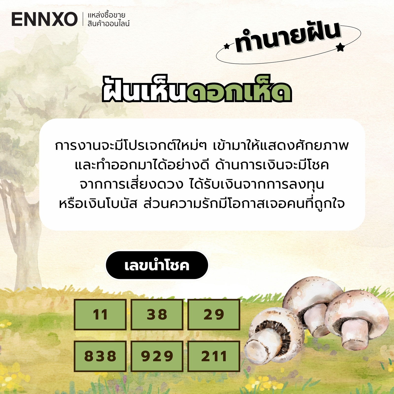 ฝันเห็นดอกเห็ด-เลขเด็ด
