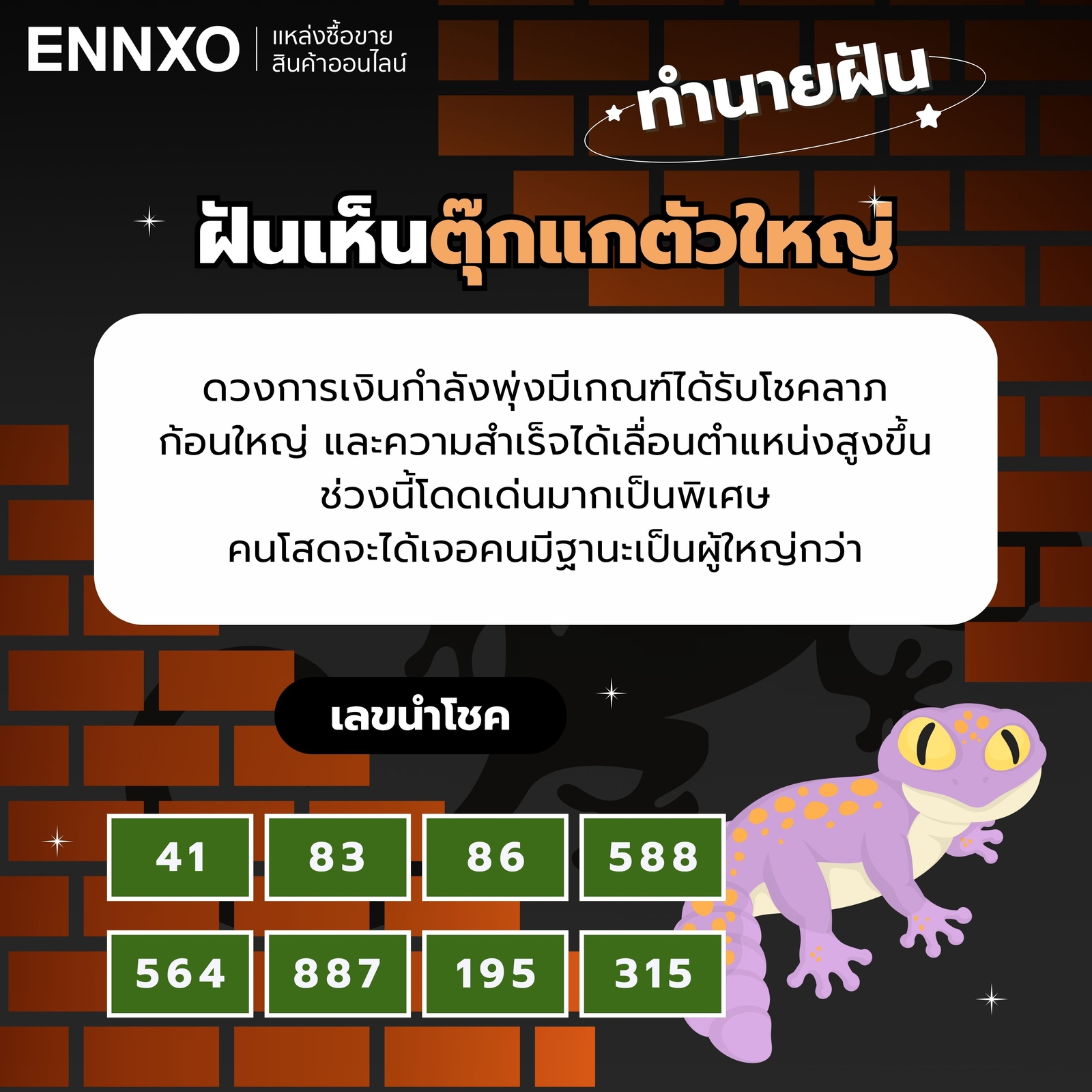 ฝันเห็นตุ๊กแก-ตัวใหญ่มาก-1-ตัว-เลขเด็ด
