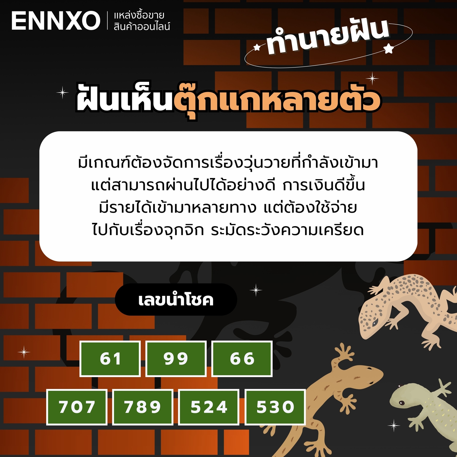 ฝันเห็นตุ๊กแกตัวใหญ่หลายตัว-เยอะมาก-เลขเด็ด