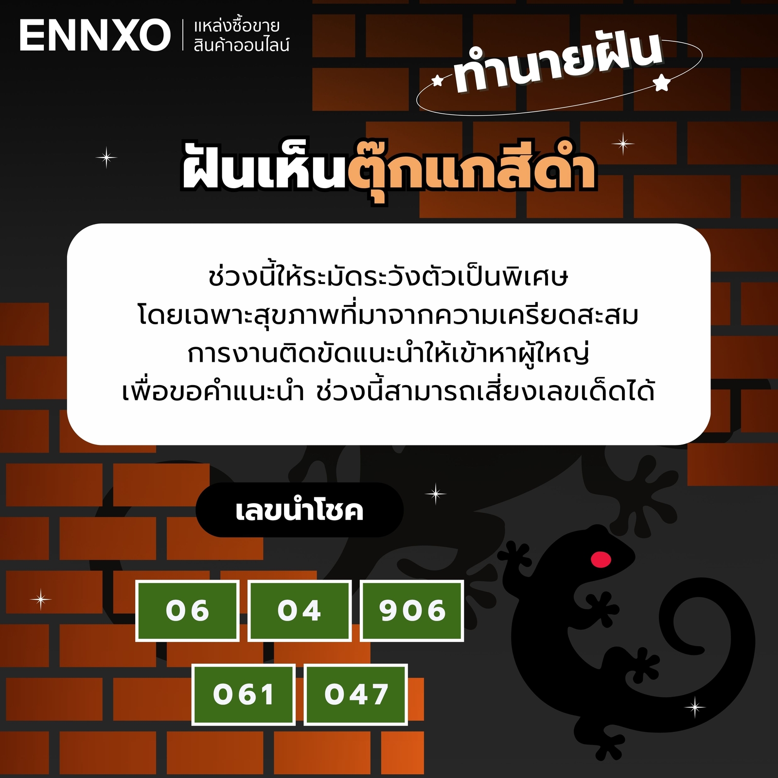 ฝันเห็นตุ๊กแกสีดํา-เลขเด็ด