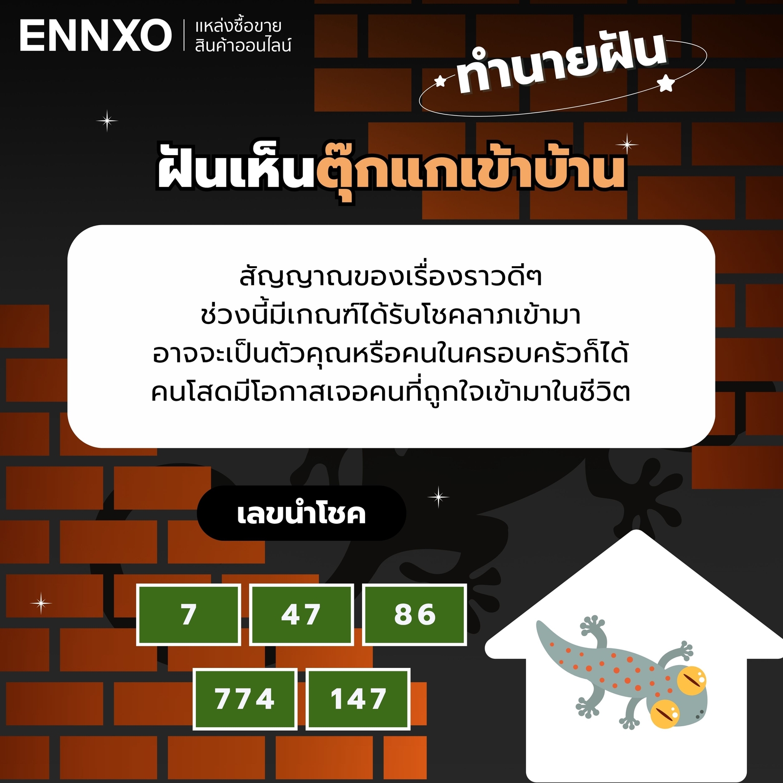 ฝันเห็นตุ๊กแกหลายตัวในบ้าน-เลขเด็ด