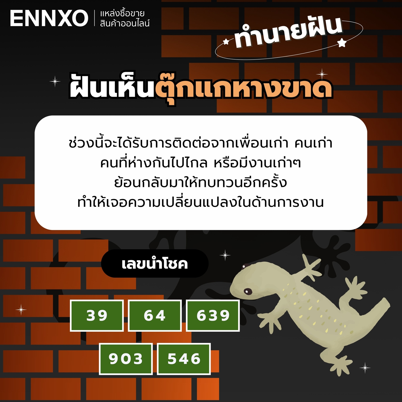 ฝันเห็นตุ๊กแกหางขาด-เลขเด็ด