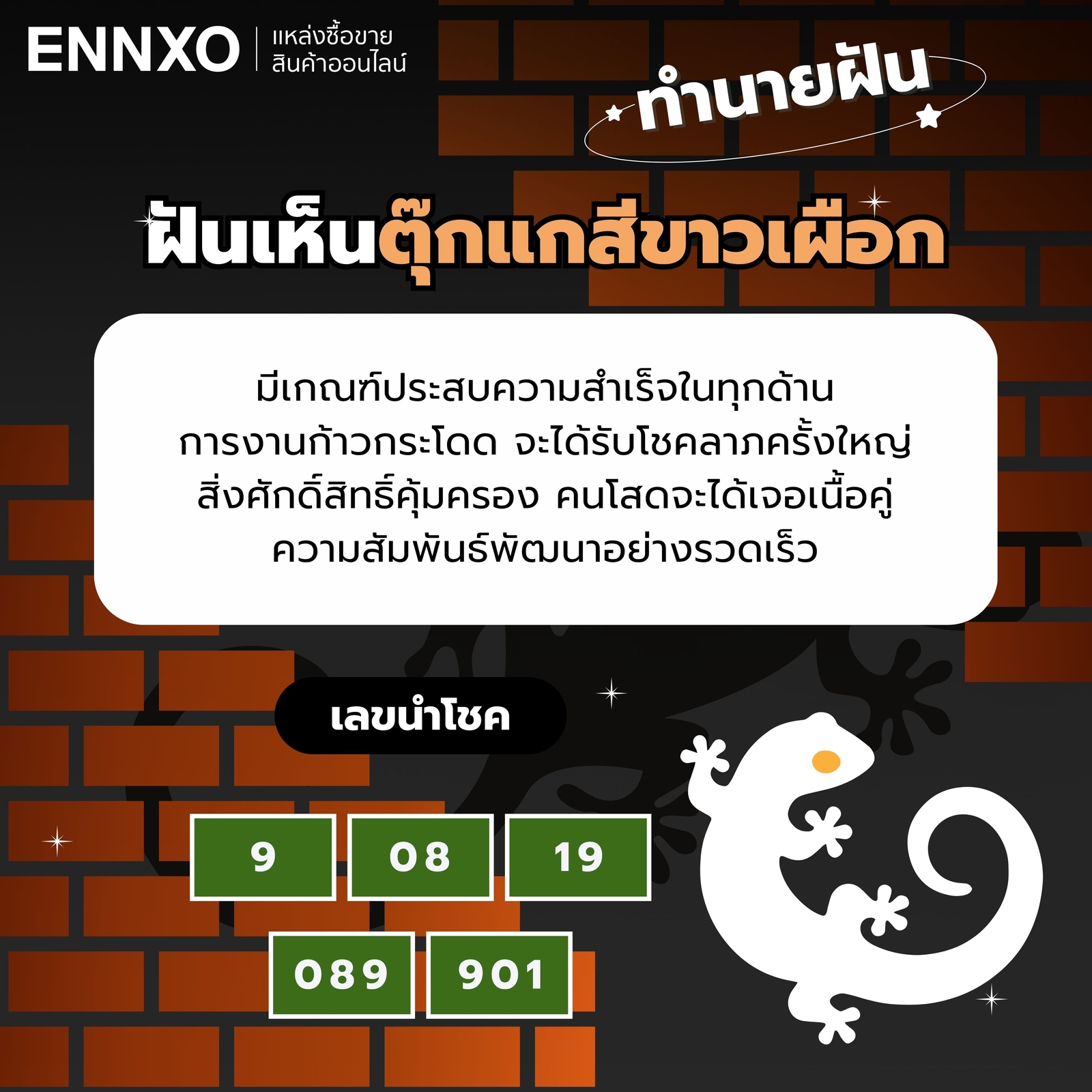 ฝันเห็นตุ๊กแกเผือก-เลขเด็ด